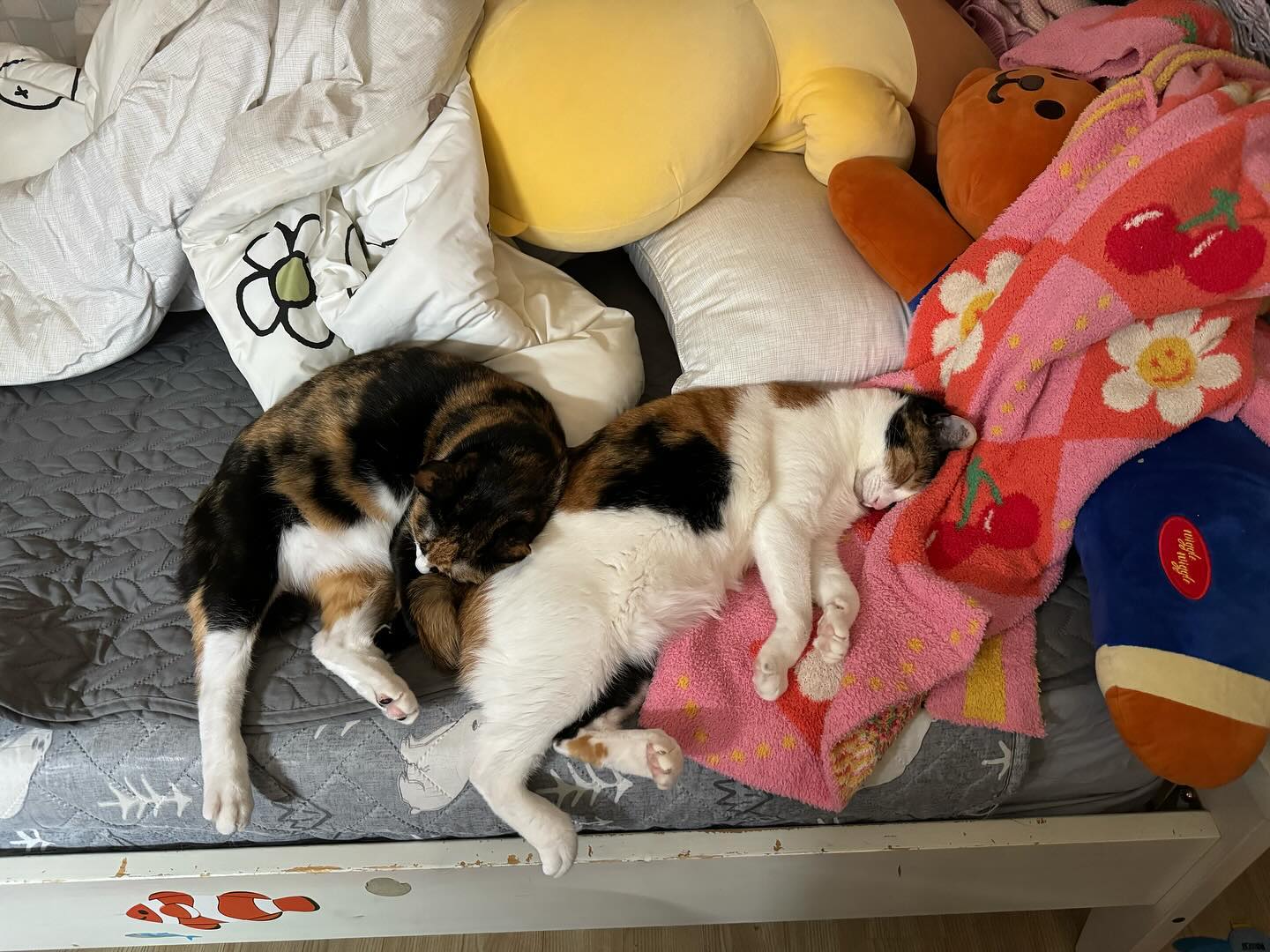 힘 !