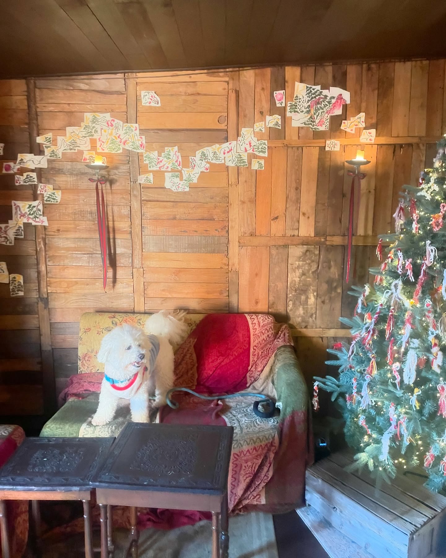 🪵🌲🪑🦥☕️