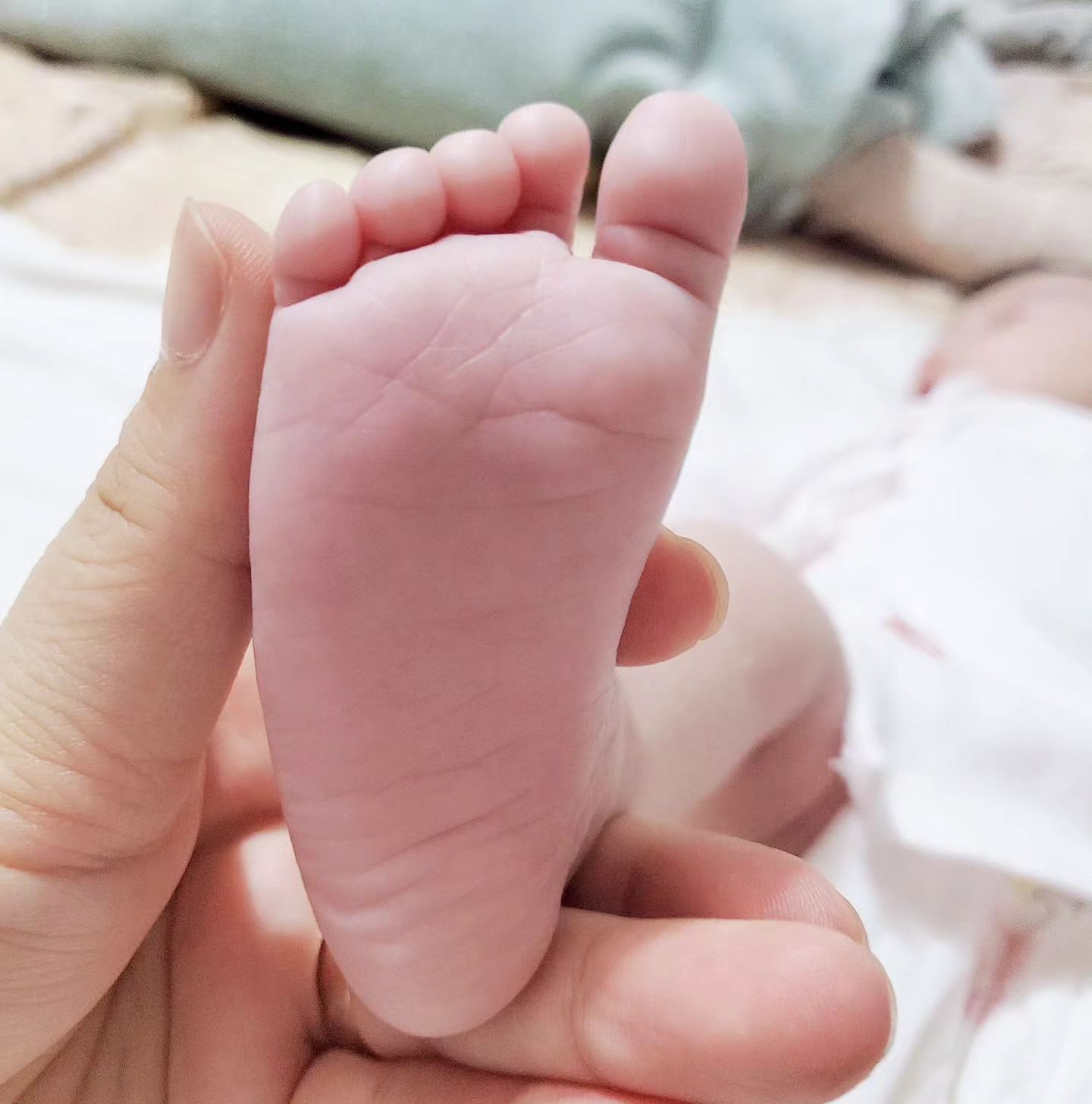 우리아기 발바닥도 쪼꼬미👶🏻🩷
꽃길만 걷쟈🌼