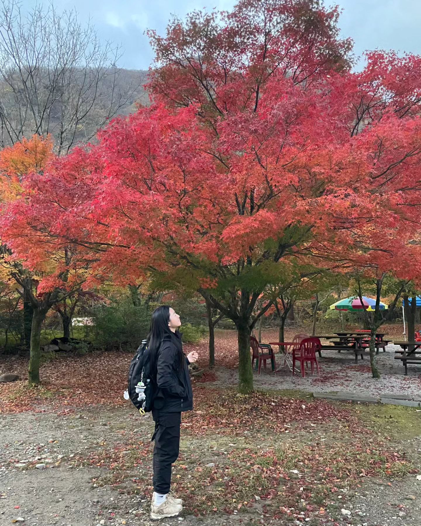 🍂🍁내장산 763m🍁🍂
무박2일 단풍산행 성공적👍 열두시에 출발해서 혜으니 픽업하고 새벽에 도착해서 등산🥱
등산로 쩜 가파르고요?
오히려 정상은 볼거없구 밑에 단풍이 넘 예뻤다:)
정상에서 만난 경남지역분들이 어디서왔냐구 언제출발했냐구 대단하다구 해주셔따
사람들과 에너지주고받는 등산도 넘 조와

#등산 #산스타그램 #등산스타그램 #내장산 #단풍
