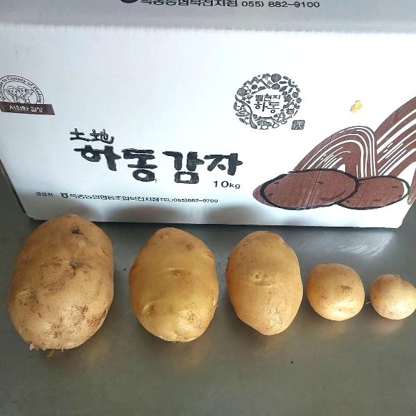 하동군 옥종면 

산지직송 2024  햇감자

특대.대.중.소.

10kg
5kg
3kg

택배배송!
진주.사천 지역은  픽업 가능합니다.

픽업시간:)
오후 3시이후 언제든지 가능^^해요.