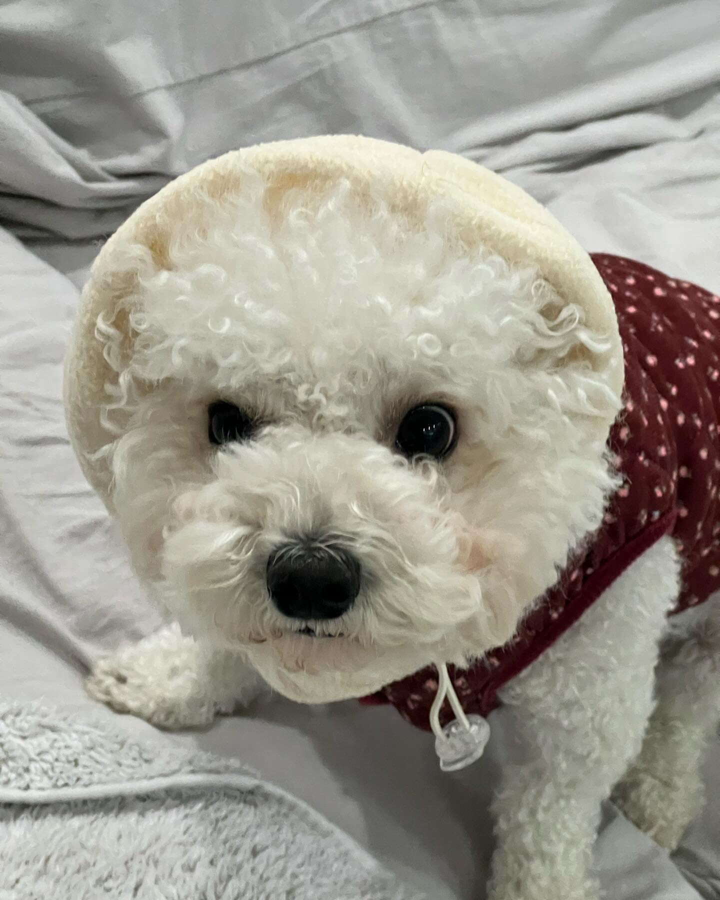 어딘가 고장이 나버린..

모자쓴모구