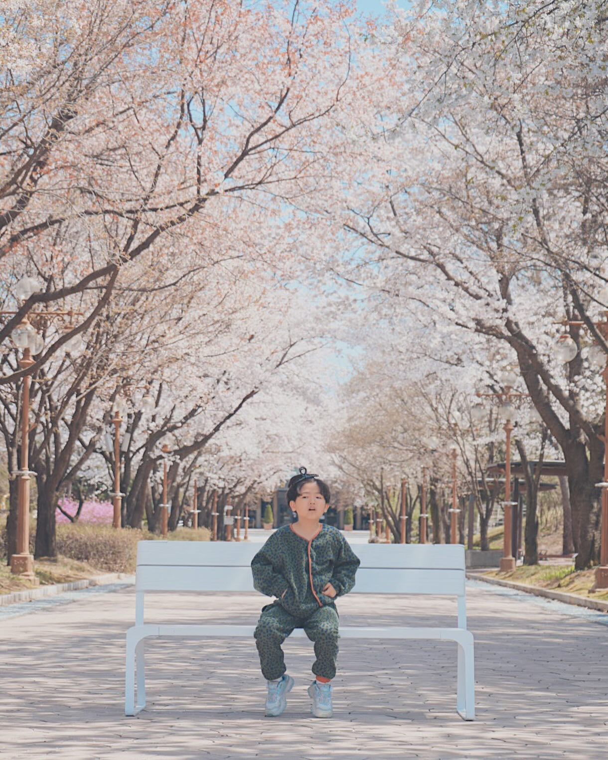 10살에도 예쁜 지후의 봄 🌸🌸🌸

#강원도립화목원 #벚꽃만개 #벚꽃길
#벚꽃놀이 #🌸🌸🌸