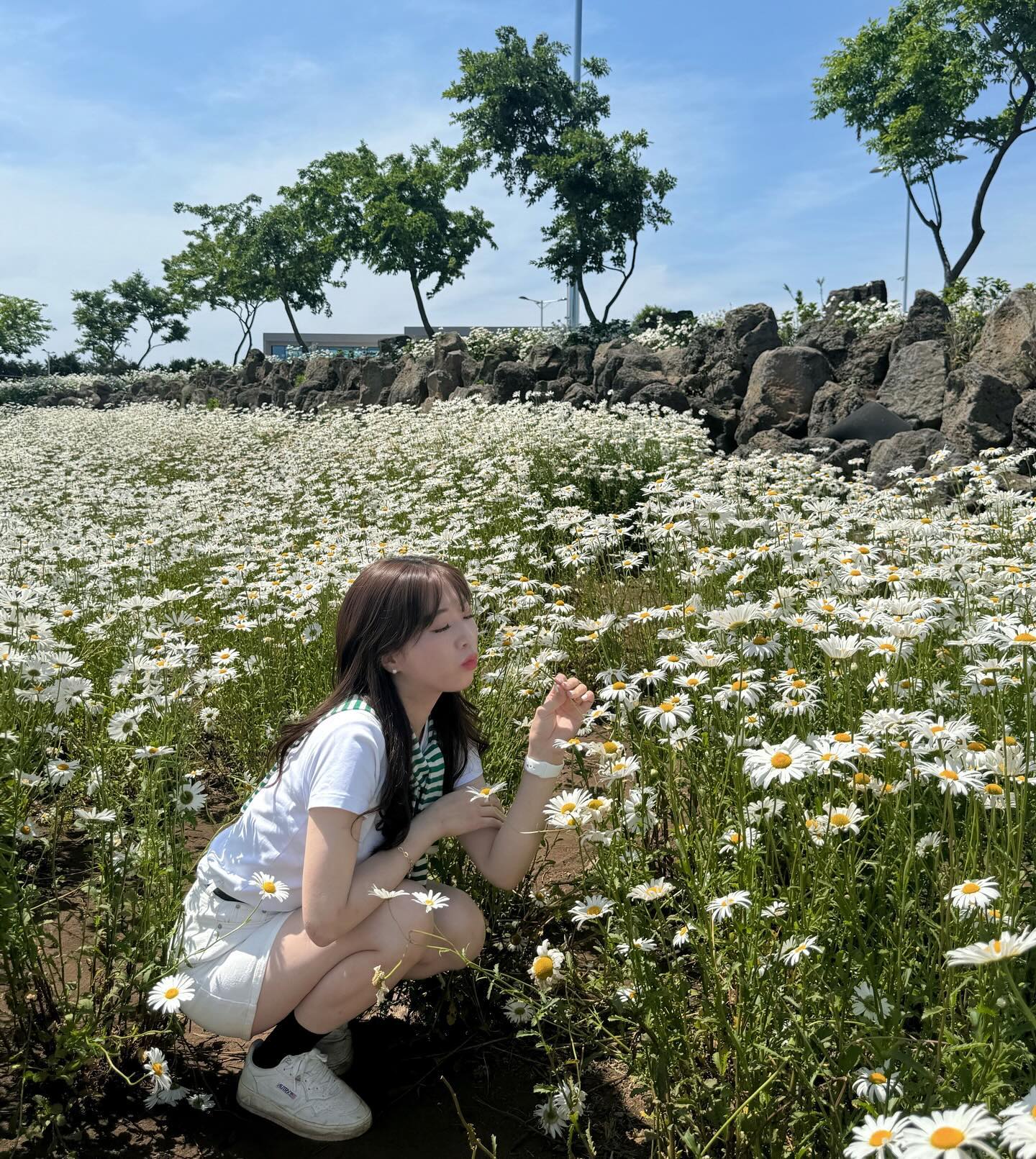 계란후라이 여전히 녜쁘구 ! 🌼☁️🤍💛