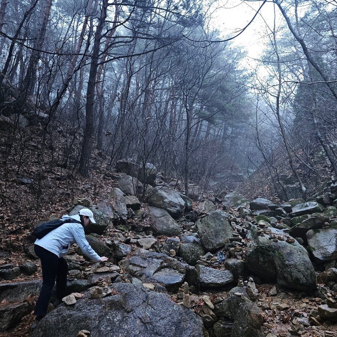보슬보슬 비오는날 100대명산중 하나인 "경주 남산"