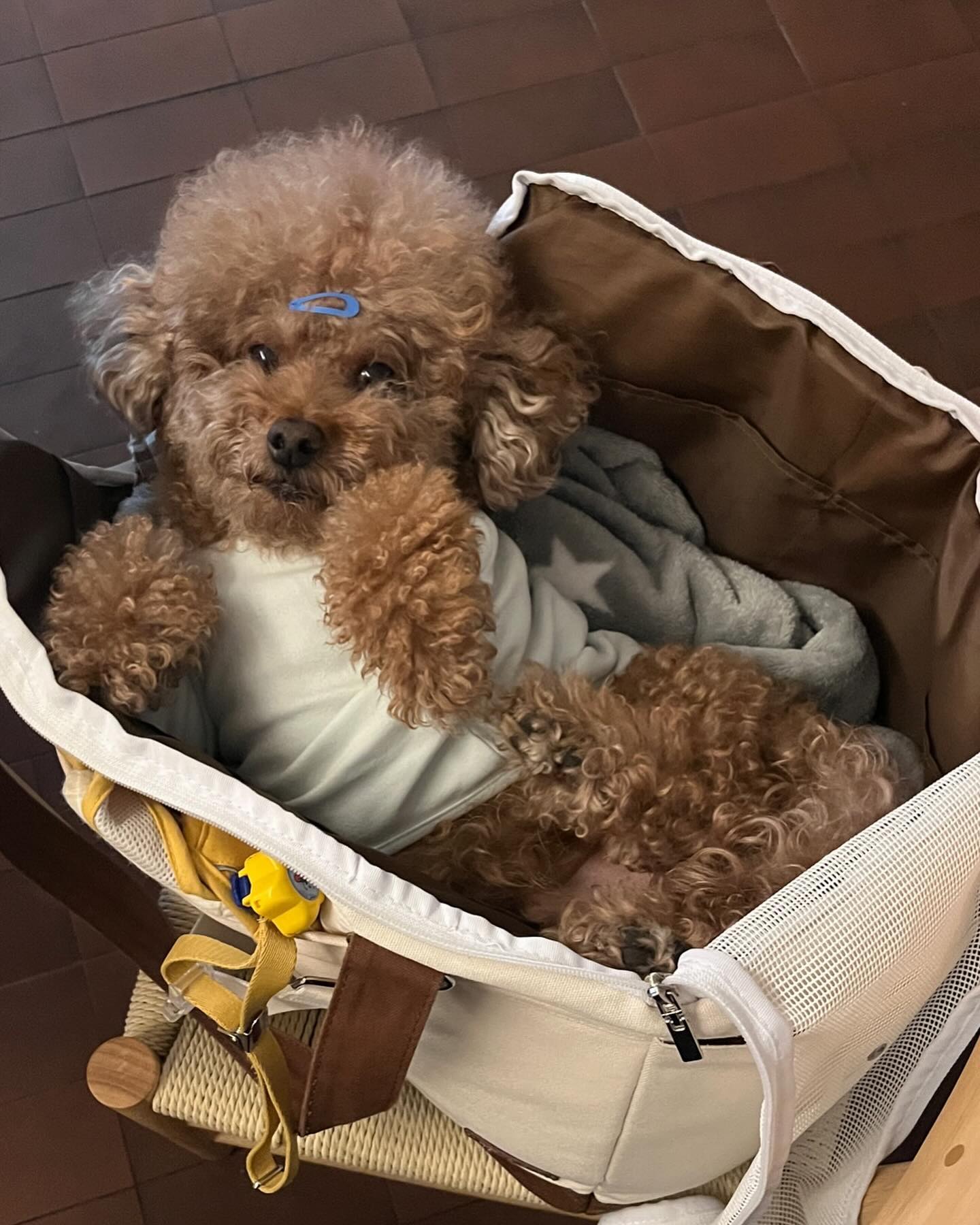 귀여운 생명체들,,,