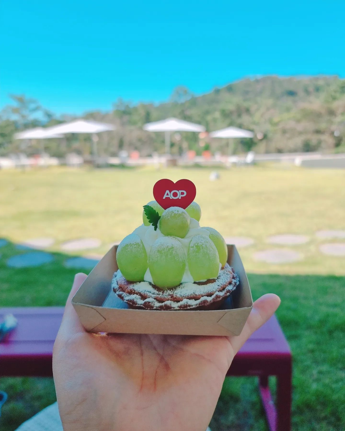 빵도 마시써떤 #카페AOP
청포도타르트🫰딸기도 먹고시팡
⠀
⠀
⠀
⠀
⠀
⠀
⠀
#간절곶카페 #나사리카페 #AOP
⠀