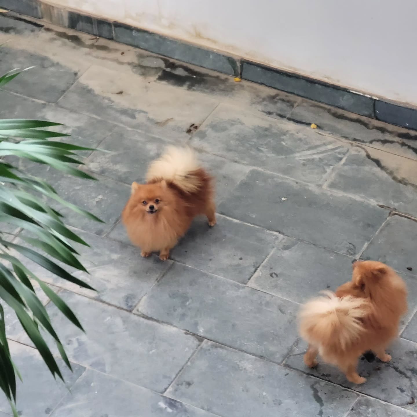 콘텐츠