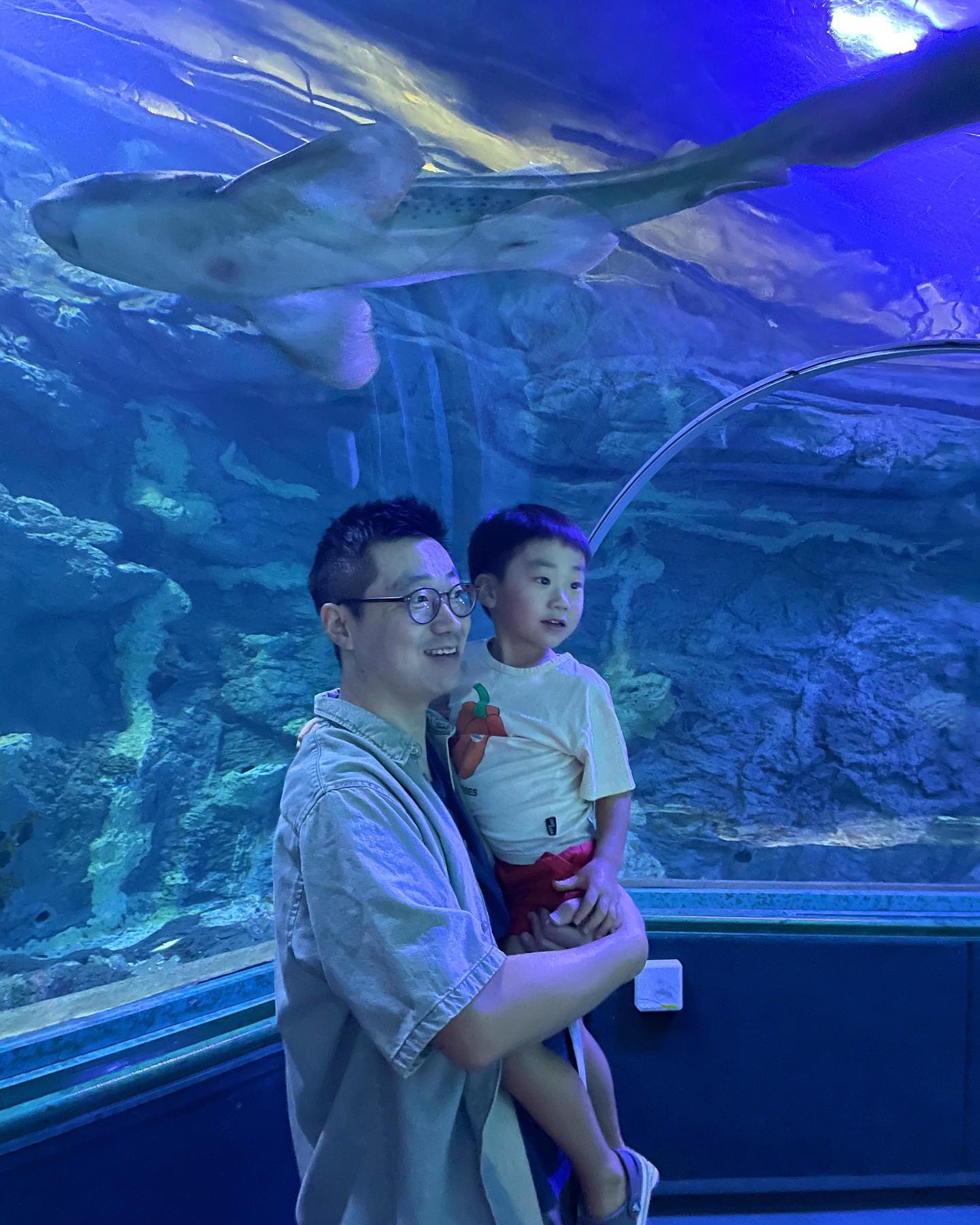 Under Water World Guam🦈
볼게 많이 없다고 들었지만 생각보다 더 볼게 없는 아쿠아리움😅 그래도 아이는 즐거워 합니다😌

#괌아쿠아리움 #언더워터월드 #괌가볼만한곳 #투몬 #괌살이