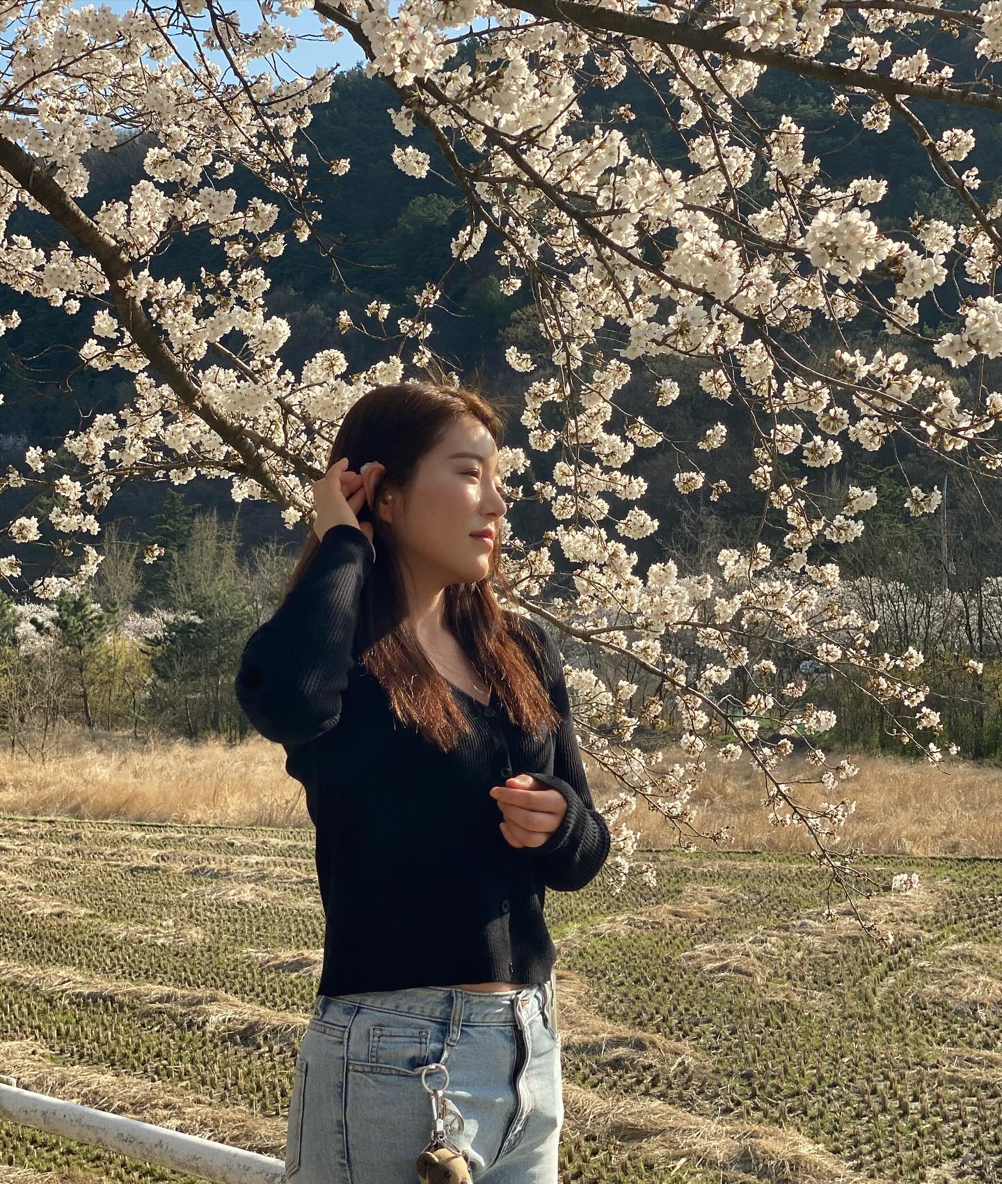 🌸 #송해공원 #옥연지 가기전,,, 
#벚꽃 ᴴᴼᵀ ᴾᴸᴬᶜᴱ ✔️