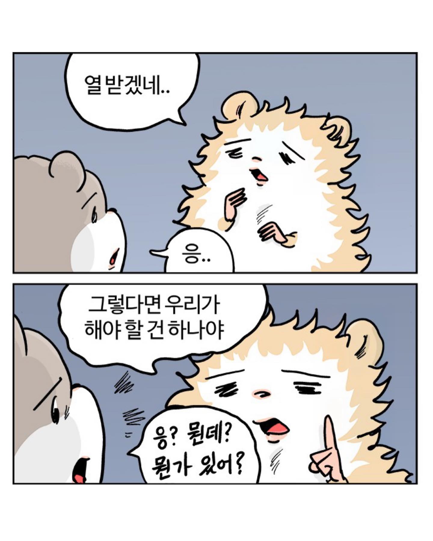 작은짐승들이 뭘 좀 아네