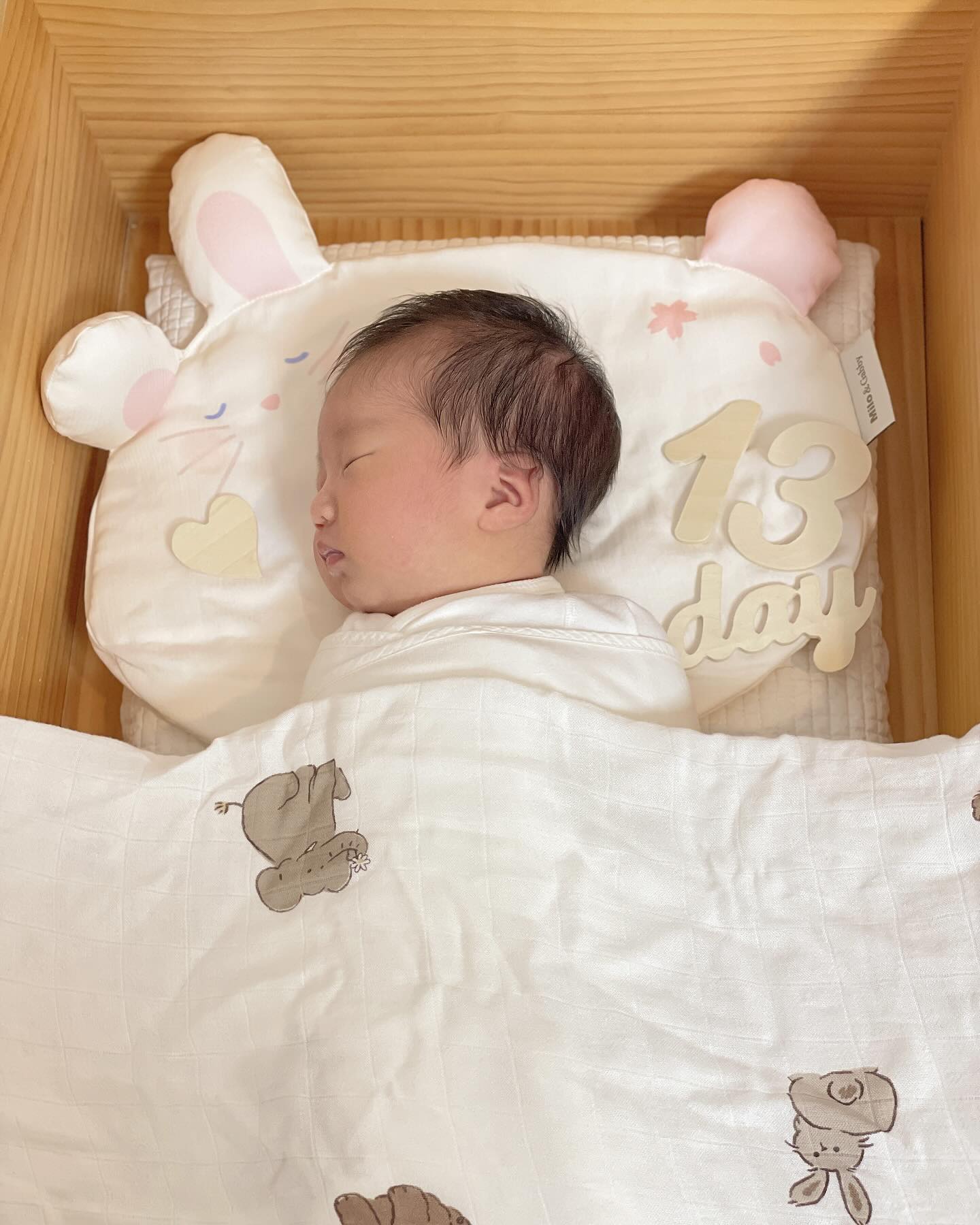 #제품협찬 #솔직후기

🐰지구에 온지 13일차🐰

아방꾸 감성템 밀로앤개비 배냇베개로 꿀잠자는 우리 유나🩷

조리원에서는 손수건이나 천기저귀로 베개해서 눕히시던데
영 감성 안살구 안이쁘자나여?🫢

예쁜 토끼모양이라 엄마 취향저격!!
신생아 1일차부터 사용가능한 제일 낮은 높이👍
너무 마음에 들어서 핑꾸색🩷으로 커버 하나 더 사두었어요!!

1개월 지나면 충전재를 넣어서 좀 더 높은 베개로 해줄 예정🐰

신생아실 이모님들이 너무 귀엽다고 칭찬 받았어요!
우리 유나 애착베개가 되어주련🎀

유아시기까지 유나네는 밀로앤개비 베개로 가려구요‼️

🏷️𝓣𝓱𝓪𝓷𝓴𝓼 𝓽𝓸  miloandgabby_official 

.
.