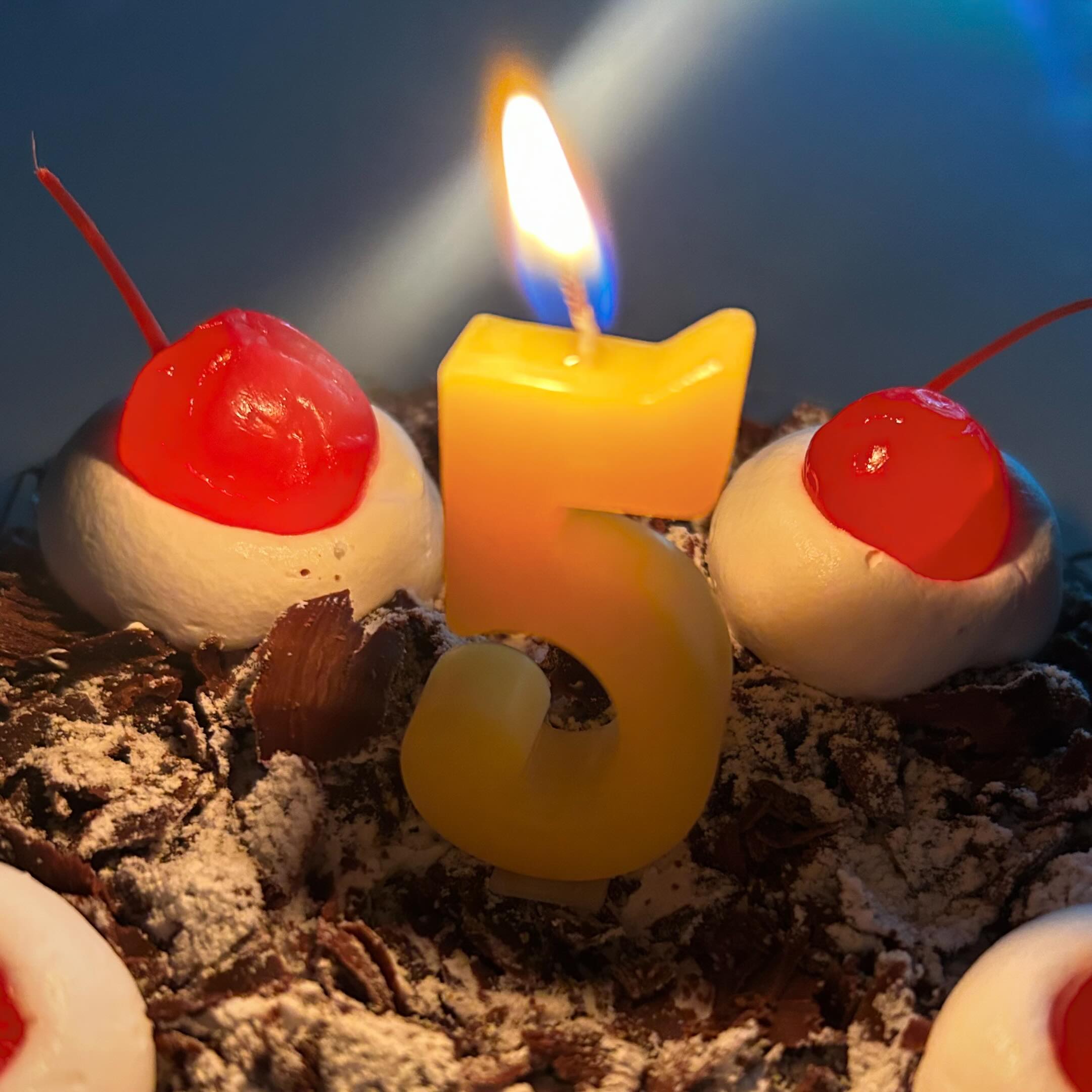 _
연애 한 지 5주년,
결혼 한 지 192일 이었던 어제 💖