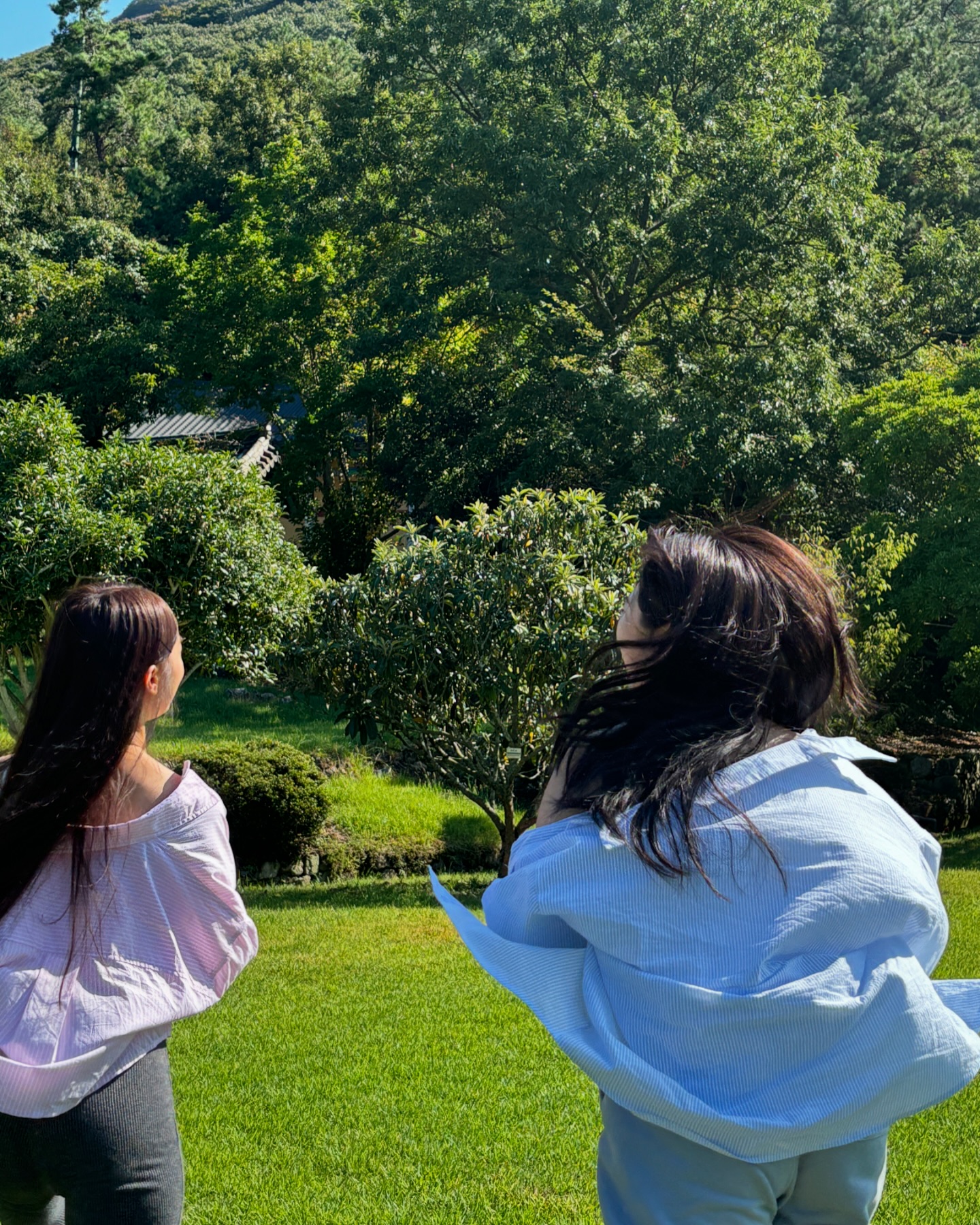 진도 여행 🌿 💚