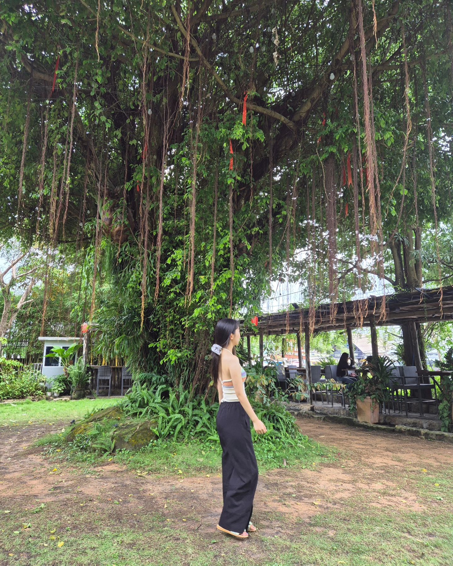 Quán cà phê đẹp☕️🫶
.
.
.
.
.
#phuquoc #cafe #🌴