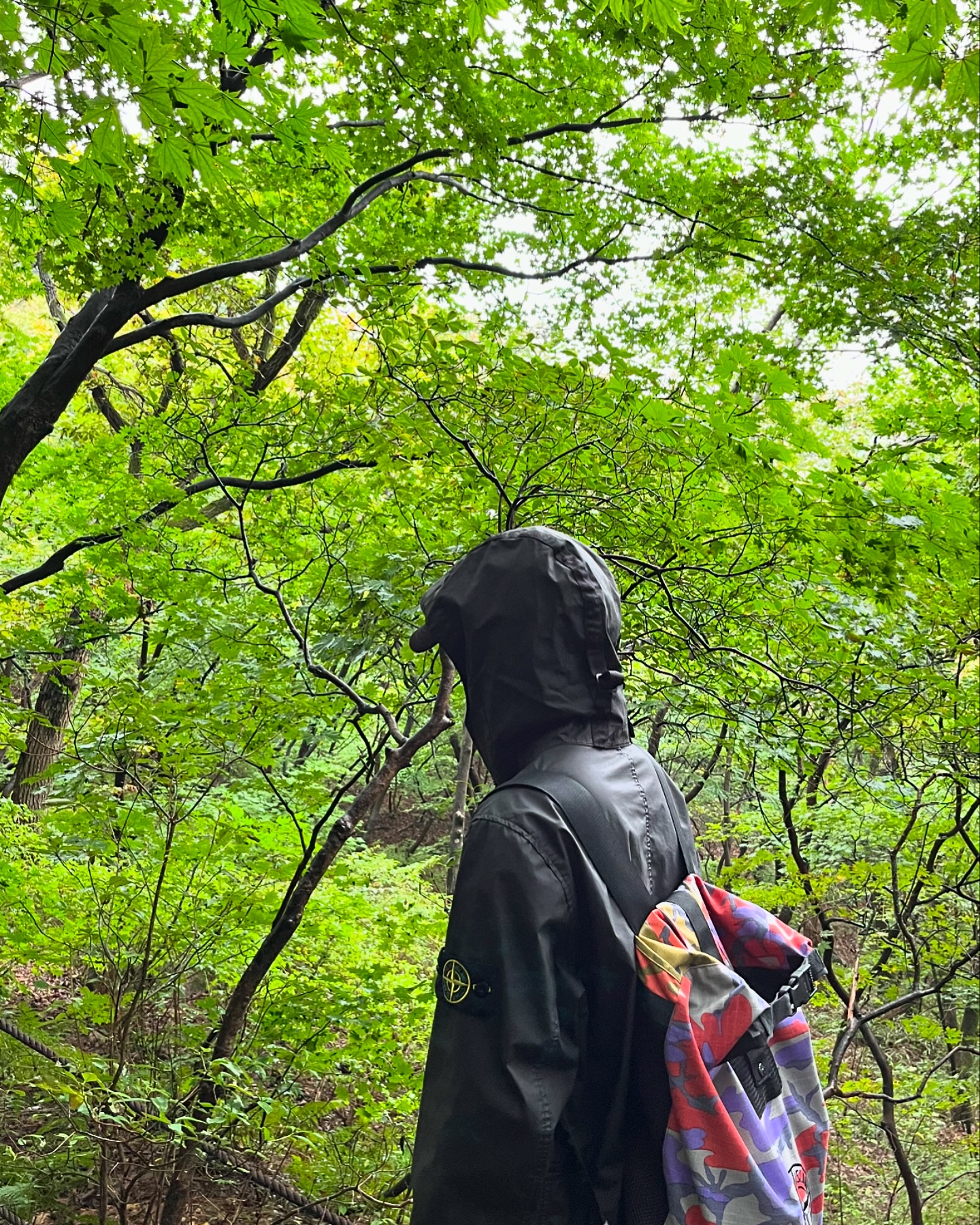 요즘 쉬는 날 풀로 잠자다가 끝나버릴만큼 저질체력 된 나,, 를 이끌고 북한산 오신 그,, 사실 약간 가기 싫어서 짜증반 있었지만 정상찍고 내려와서 갈비탕 한그릇 비우니까 보람차네, 하지만 내 도가니는 나감.. ⛰️ ✌🏻 10월 활기차게 시작 !