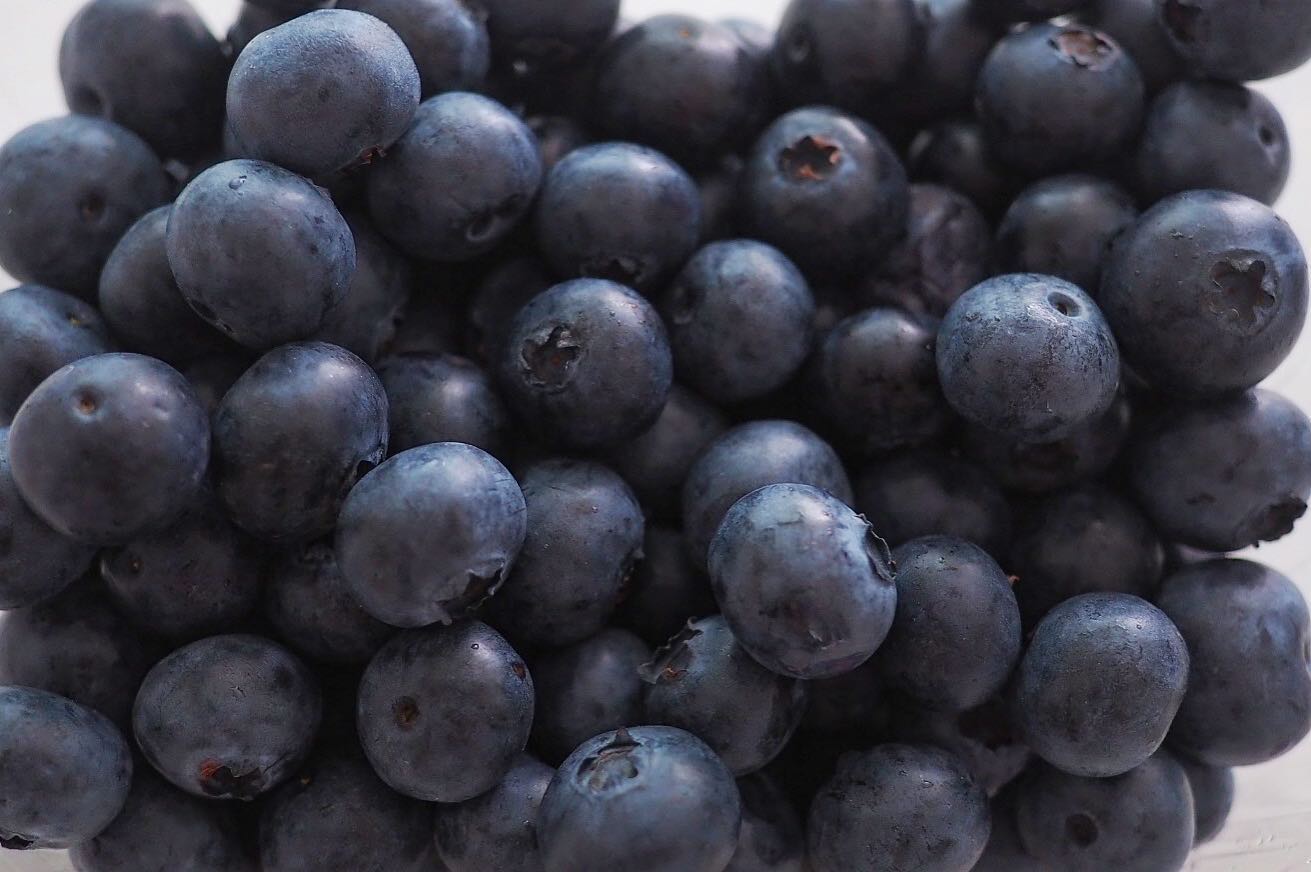 ⠀⠀⠀⠀⠀⠀⠀⠀⠀⠀⠀⠀⠀⠀⠀⠀
블루베리 쪼아 🫐 🫐
 ⠀⠀⠀⠀⠀⠀⠀⠀⠀⠀⠀⠀⠀⠀⠀⠀
 ⠀⠀⠀⠀⠀⠀⠀⠀⠀⠀⠀⠀⠀⠀⠀⠀
 ⠀⠀⠀⠀⠀⠀⠀⠀⠀⠀⠀⠀⠀⠀⠀⠀
#블루베리
#blueberry