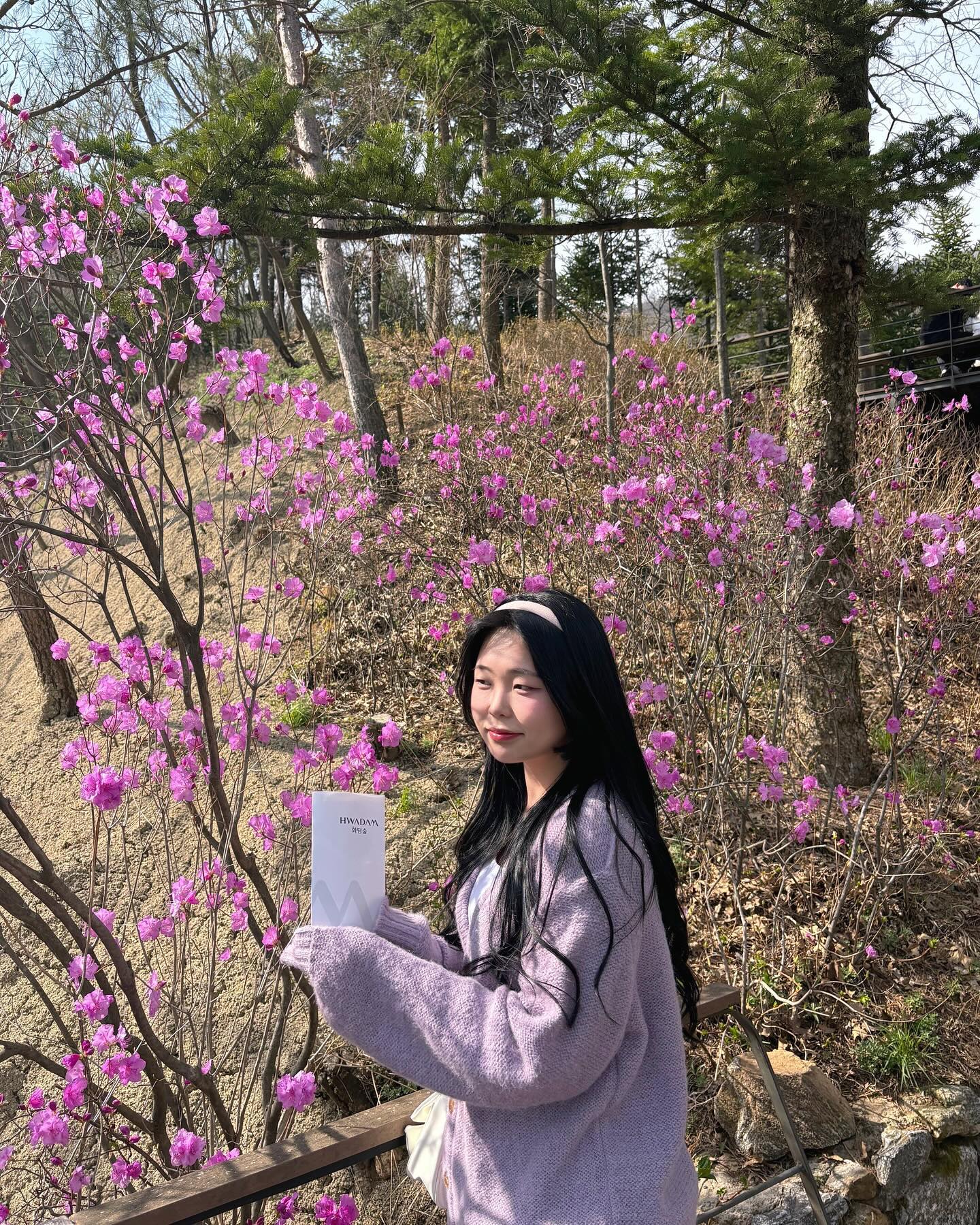 hwadamsup 
진달래, 수선화, 매화  슈퍼 이끌림🤟

벚꽃시즌 되기 직전 평일이라 사람도 많이 없어서 
느긋하게 구경할수있어서 편하고 좋았지만.!

그대신 모노레일 탔을때 벚꽃은 없었다는.. 😂

그래도 ‘수선화축제’ 에 걸맞게 수선화는 이제 이쁘게 피어있었어요!
그리고 매화도 같이 피어있어서 사진찍기 완전 좋았어요!!

화담숲은 100% 사전예약제로 되어있어서
가기 전에 공식 홈페이지에서 예약을 하고 가야합니다!
모노레일도 같이 예약 가능하고 
모노레일 2,3승강장에서는 현장발권도 가능하다고 해요

그리고 화담숲에는 관람객들의 편의를 위해 삼각대 반입이 안된다고 해요
음식물도 반입이 안되구요!!
그리고 화담숲이 엄청 넓어서 물이 필수입니다!
자판기에는 1500원 물도 있고 그러니 미리 준비해가는게 훨씬 저렴해요!
저는 몰라서 그냥 갔다가 1500원짜리 물을 샀습니다 ㅎㅎㅎㅎ..
 

#경기도 #광주 #화담숲 #모노레일 #수선화 #수선화축제 #진달래