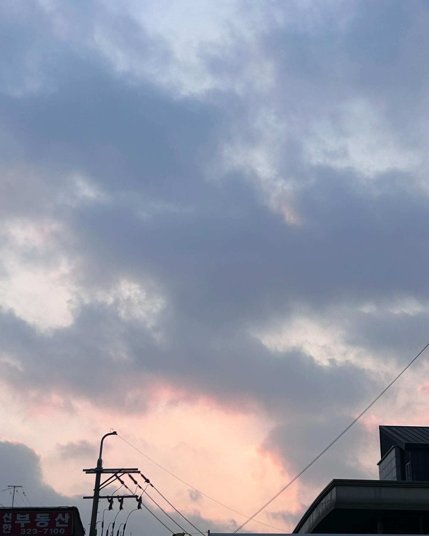 DAILY BLOG IN JANUARY _ 2