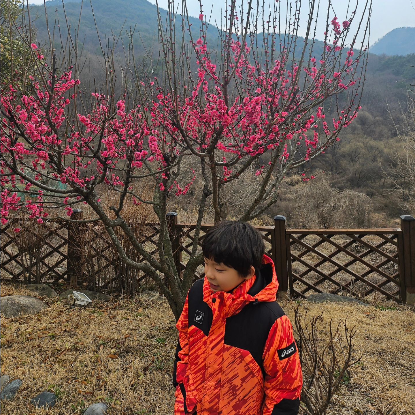 밀양👨‍👩‍👦
여전히 쫄보이지만
그래도 쫄보 수준 내에서 용기를 내보는 요즘ㅋㅋ
잘크고있다 아들🫶🫶