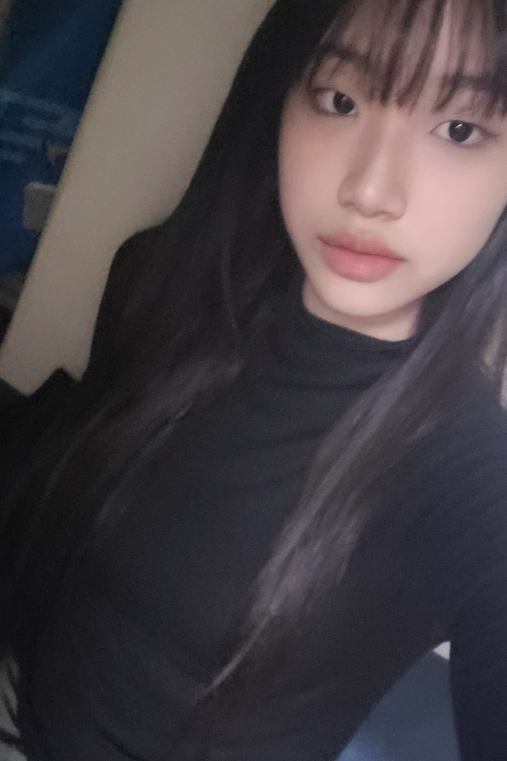 콘텐츠