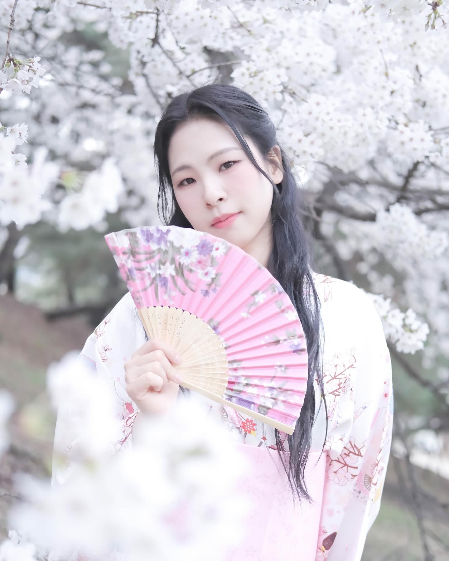 새로웠던 벚꽃촬영🌸

#벚꽃 #벚꽃스냅 #벚꽃사진 #기모노 #스냅사진 #스냅