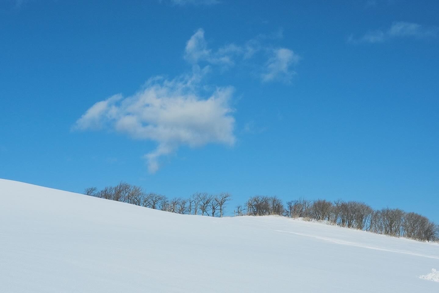 삿포로 아니고 국내에도 이렇게 예쁜 설경을 만날 수 있어요☃️
#fujifilm #photography #travelphotography #travelblogger #traveling #winter #frozen #snow #snowwhite #국내여행 #겨울여행 #여행사진 #대관령 #삼양목장 #삼양라운드힐
