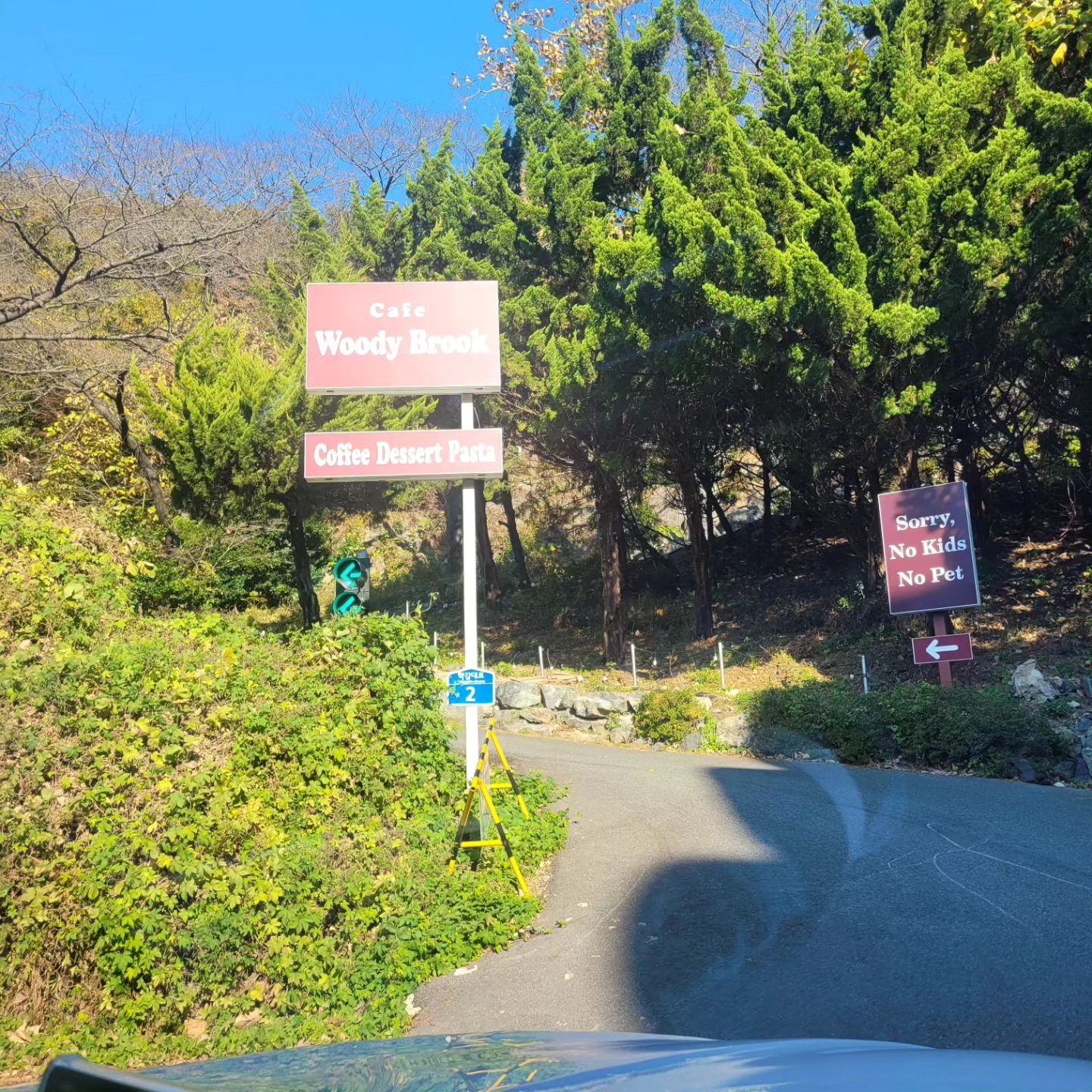 .
#꾸꾸랑❤️ 

오빠 일찍 퇴근하구 나랑 놀아주는 요즘.
카페도 오빠가 알아서 척척 데려가 주지롱😝

근데 카페에 고양이들이 넘 많아서 당황ㅋㅋ
난 고양이 무서워 한단 말이지ㅋㅋㅋ
오빠 옆에 찰싹 붙어서 으악_!!악_!!소리지르기ㅋㅋㅋㅋㅋㅋ그래도 카페는 이뻤다ㅋㅋ

그리고 에그타르트 받으러 Go~했지😆
#신난당 

오빠 나 계속 뽀로로 하고 싶은데😶😶🫣
괜찮아??
.
.
.
.
#휴식기
#오빠랑