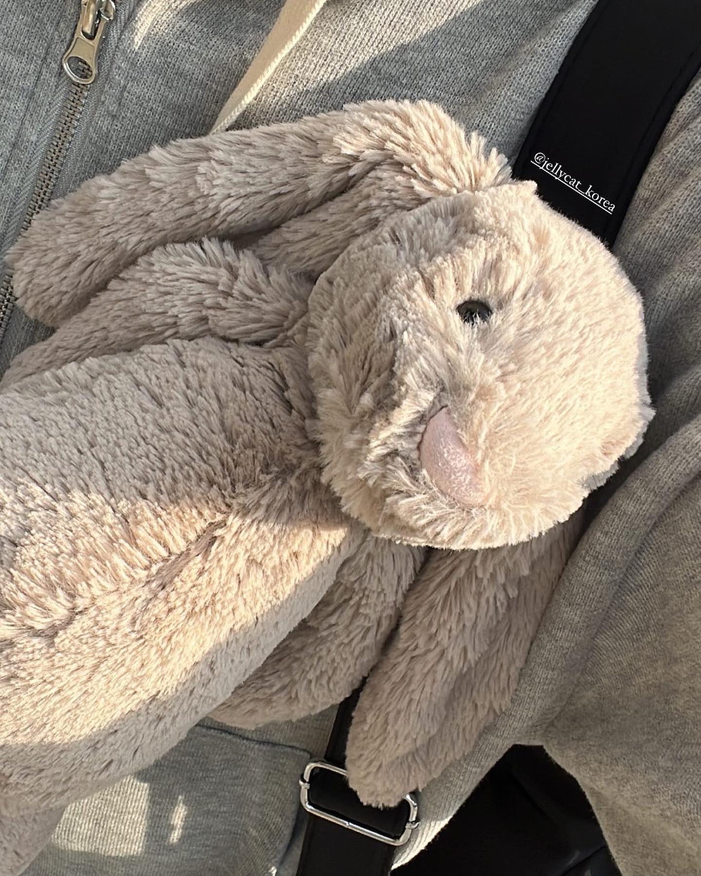 🐰🤍