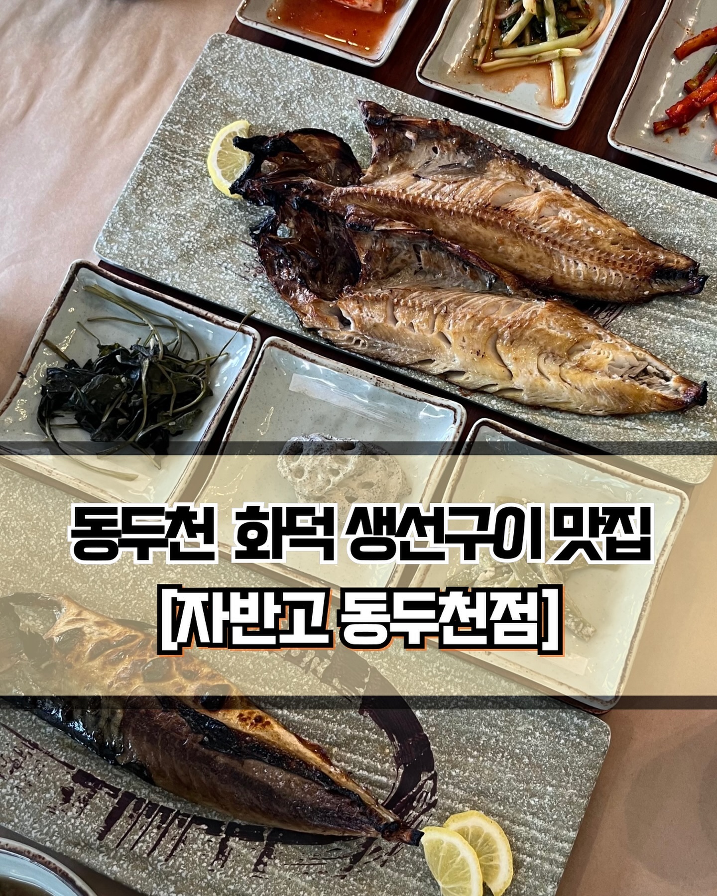 🥄 #자반고 #자반고동두천점 
 
 

🍽️[가족식사 강추 동두천 화로 생선구이집🐟]

🍽️ #직화고등어구이정식 #직화임연수구이정식 #직화제육 
 
 
✨동두천 화로 생선구이 맛집 자반고를 소개합니다! 자차가 있어야 방문할 수 있다는 단점이 있지만, 요리의 맛과 다인원을 수용할 수 있는 넓은 공간이 매력적인 곳입니다. 단체식사에 최적화된 식당이니 기념일에 방문하시는걸 추천드립니다. 주말 식사시간에는 대체로 대기가 있는 편이지만, 식당이 아주 넓기 때문에 금방 빠지는 편입니다.😎
 
 
✨반찬들과 잡채는 뷔페에서 무한으로 가져다 먹을 수 있습니다. 잡채는 야채보다 당면이 많고, 달달해서 생선을 잘 먹지 못하는 아기들이 아주 좋아할 것 같은 맛입니다.👶🏻 메인 메뉴로는 고등어와 임연수, 직화제육을 주문했습니다. 생선은 아주 촉촉하고 담백하니 맛이 좋습니다. 간장에 와사비를 풀어서 찍어먹으면 완전 밥도둑입니다👍🏻👍🏻 
 
 
✨ 밥도둑들과 먹다보면 밥 양이 적게 느껴질 수 있는데, 이 때 추가로 주문하지 말고, 셀프바에서 누룽지를 가져와서 드세요. 누룽지와 생선의 조합 정말 최고입니다🥹 생선 요리는 정말 맛있는데 개인적으로 직화제육은 좀 아쉬웠습니다. 학생 때 급식에서 나올 것 같은 맛이라고 해야하나.. 아무튼 애기가 있거나 해산물을 못드시는 분들이 있는 경우가 아니라면 맛있는 생선을 드시는 것을 추천드립니다🫶🏻

 
 
 
———————————————————————————

🏠 자반고 동두천점
 
📍  경기 동두천시 안흥로 65-36
🕖 수 ~ 월 : 11:00 ~ 21:00
💥 라스트 오더 : 20:20
💥 화요일 휴무
💥 평일 브레이크 타임 : 14:30 ~ 17:00
💥 주말은 브레이크 타임 없음

———————————————————————————
 
#동두천맛집 #동두천생선구이 #동두천찐맛집 #생선구이맛집 #생선구이 #임연수구이 #동두천단체손님 #동두천외식 #동두천가족식사 #안흥동맛집 #고등어구이  #Y_동두천