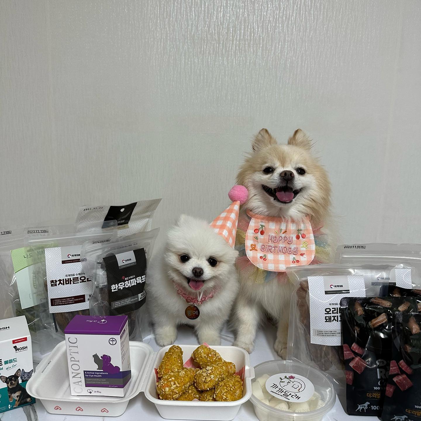 🎂
9월 1일 두부 생일 ❤️
9월 4일 콩이 생일 🩵

둘이 생일이 얼마 차이가 안나서
올해도 같이 생일 파티 했어요 🫶🏻

오늘 생일인 두부를 위해 까까달래에서
원데이클래스로 치킨&치킨무도 만들어 왔답니다 !
🏷️ ggagga_dalrae 

사장님 너무 친절하시구 재밌게 수다 떠느라
시간 가는 줄 몰랐어요 ☺️

아이들이 좋아할 거 생각하며
기대감에 부풀면서 만들었는데
치킨 진짜 너무 좋아하며 잘 먹었답니다 흡입 👍

나머지 치킨과 치킨무는
내일 칭구들이랑 나눠 먹을거에요❣️

콩이는 사진 찍는 도중에
자꾸 치킨에다가 혓바닥을 낼름 ㅋㅋㅋ
얼른 먹고 싶었나봐요 냄새가 꼬숩〰️

저도 먹어봤는데 고소하고 간 안된 닭가슴살 맛이였어요 !

고양이인 비지도 잘 먹었는데
인스타는 왜 최대 10장밖에 못올리는지 😂

미역국도 야무지게 싹 싹 다 먹고
오늘 완전 배 터지는 날 ♪(๑ᴖ◡ᴖ๑)♪

조공 보타닉 항산화제 영양제
6통만 택배 오면 생일선물 끝 😎

내일은 친한 임모가 시킨 케이크가 온대서
임모들이랑 소소하게 2차 생일 파티할 예정이에요 !

사진 찍고 보니 뭔가 허전하다 싶었는데
생일 가랜드 대신에 소형 빔프로젝터 생일 축하용 샀던걸
깜빡하고 사용 못하고 그냥 찍은게 함정..( ͒ ඉ .̫ ඉ ͒)

어찌됐든 이쁘게 사진 찍었으니 됐지요 !! ㅋㅋ

내새꾸들 사랑해 ❤️🧡💛💚💙💜🖤🩶🤍🩵🩷
항상 건강하고 행복하게 해줄게
태어나줘서 고맙고 언니한테 와줘서 고마워 💕 
 
 
 
#강아지생일파티 #강아지생일 #강아지 #포메 #포메라니안 #강아지치킨 #강아지수제간식 #강아지치킨원데이클래스 #까까달래
