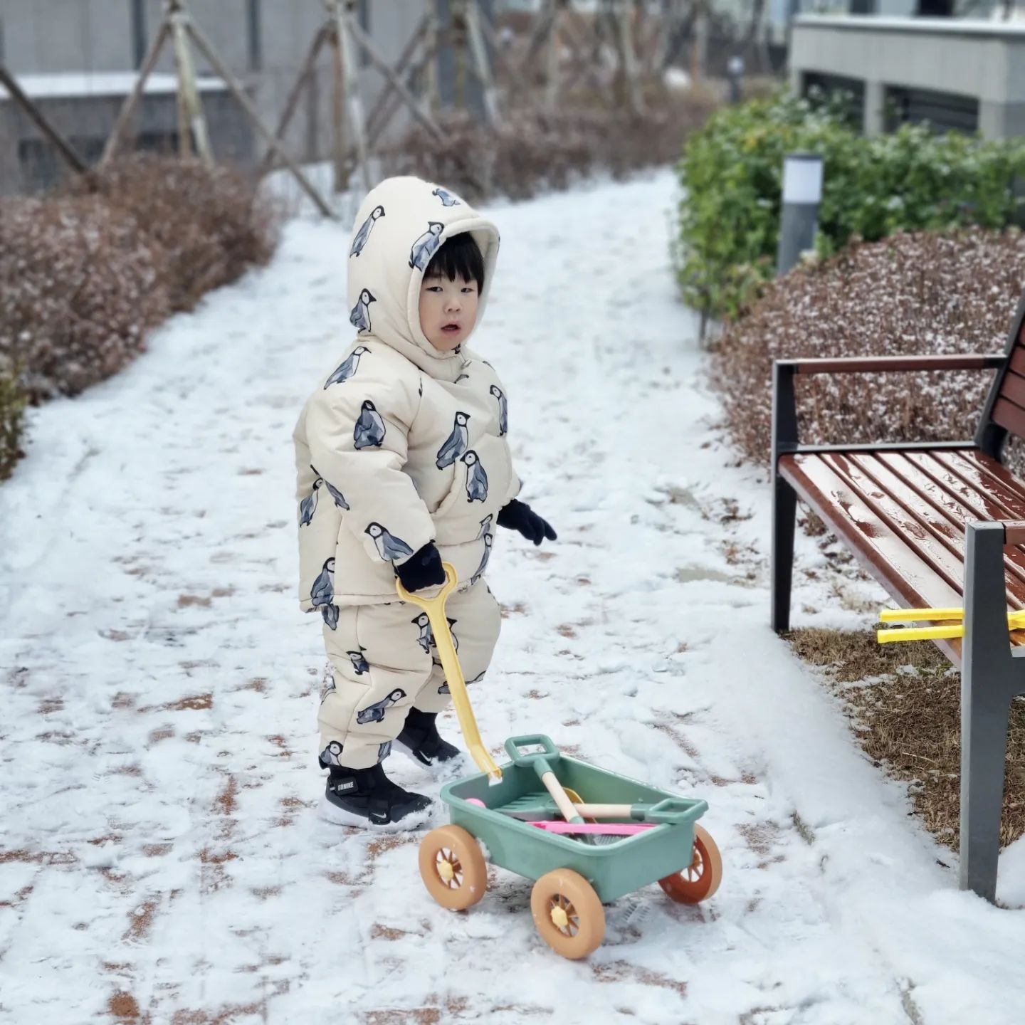 누님 펭귄을 드디어 물려입은 호띠띠와
자꾸 길바닥에 드러눕는 띠니띠 

눈은 이제 그만와도 될 것 같은데 🤧🤧

#싕호띠👧👦
#남매스타그램👦🏻👧🏻