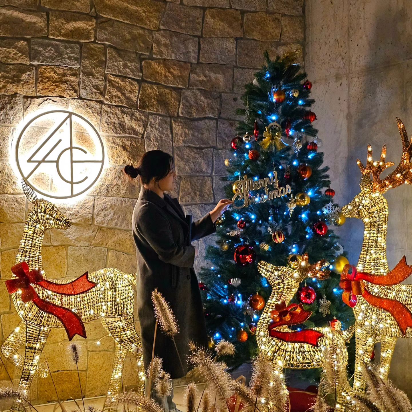 전주에서 트리사냥 하고 왔어요🎄

일 끝나고 카페에 간거라 어두운 사진뿐이지만
카페 자체는 너무 예쁘고 
디저트도 맛있는 곳이었어요🤍

🔸️다양한 스페셜티 커피를 취급하는 로스터리 카페에요
🔸️유기농 우유와 유기농 설탕을 사용하고 있다고 하는데 
다른 카페의 음료와 차이가 없어요~
🔸️계절마다 야외 분위기가 다를거같아서 방문하는 재미가 있을거같아요😄
🔸️실내에는 그림전시도 해두어서 구경하는 재미도 쏠쏠했어요
🔸️루프탑 구경하는데 그림자놀이로 재밌는 시간 보냈어요ㅎㅎ
🔸️스마트스토어에서 원두를 판매하고 있어요!(https://smartstore.naver.com/4labs)

📍포랩스커피컴퍼니
전북 전주시 덕진구 초포로 250-16 (호성동2가)
⏰️매일 11시-22시(21시 라스트오더)
🅿️주차장 넓은편이에요

#협찬 #리뷰노트 #광고 #전주카페  #전주대형카페  #전주커피맛집 #포랩스컴퍼니 #전주데이트 #전주근교데이트 #전주드라이브 #전주카페추천 #크리스마스 #트리
#럽스타그램