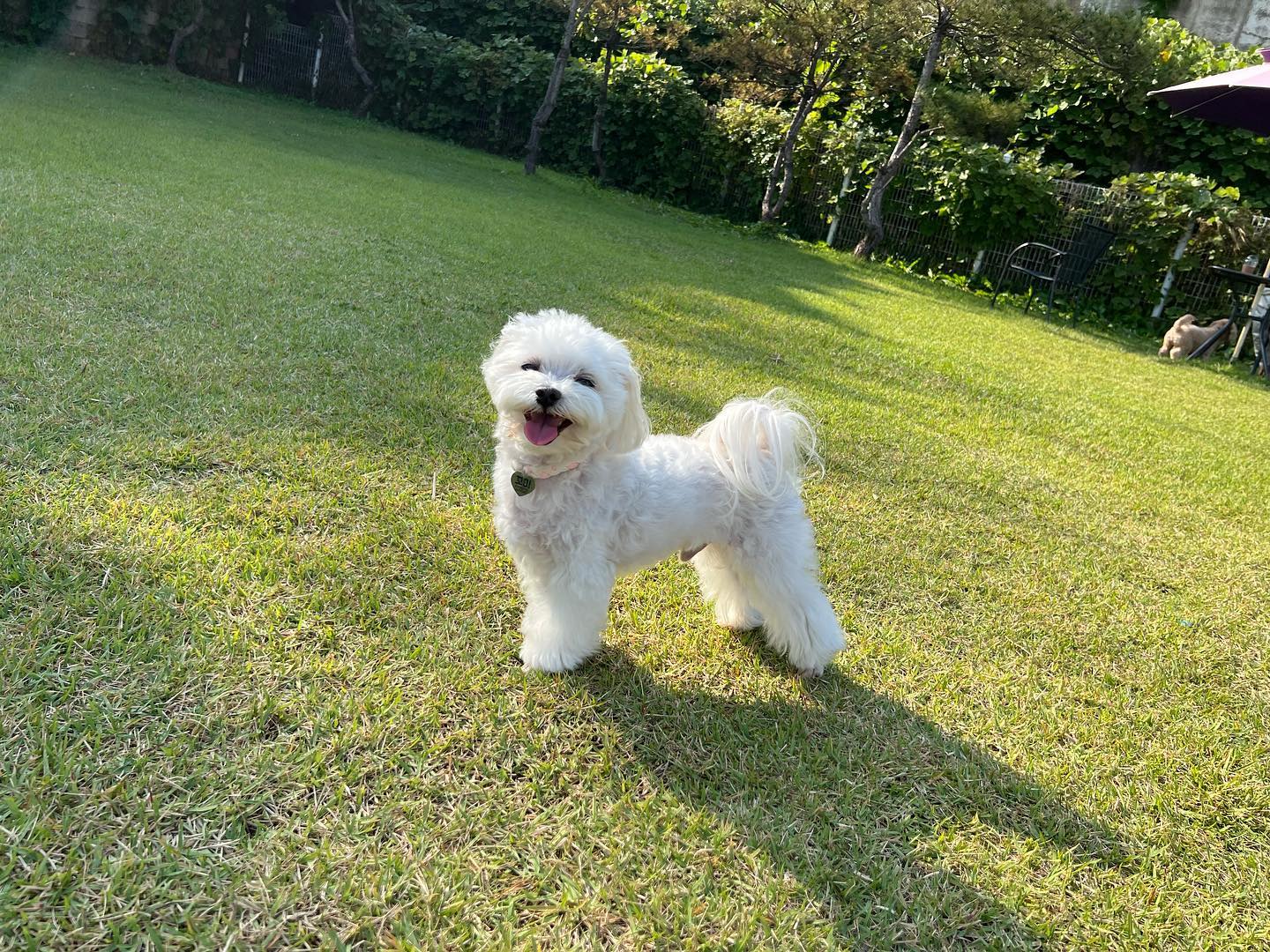 내새끼 젤 사랑행❤️