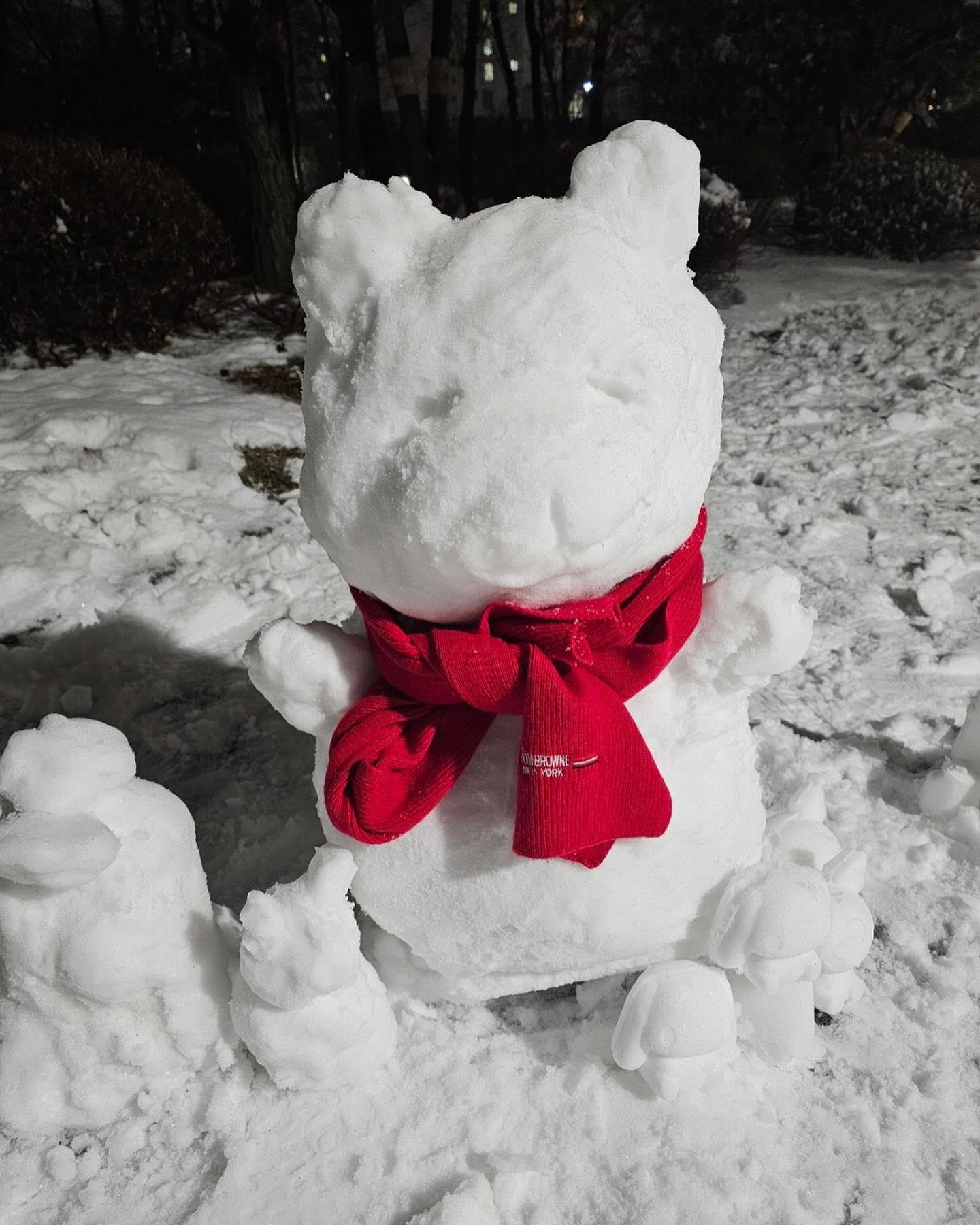 지나가던 사람도 칭찬해준 내 눈사람 ⛄️

#눈사람 #곰사람 #스노우맨 #스노우베어 #눈오는날