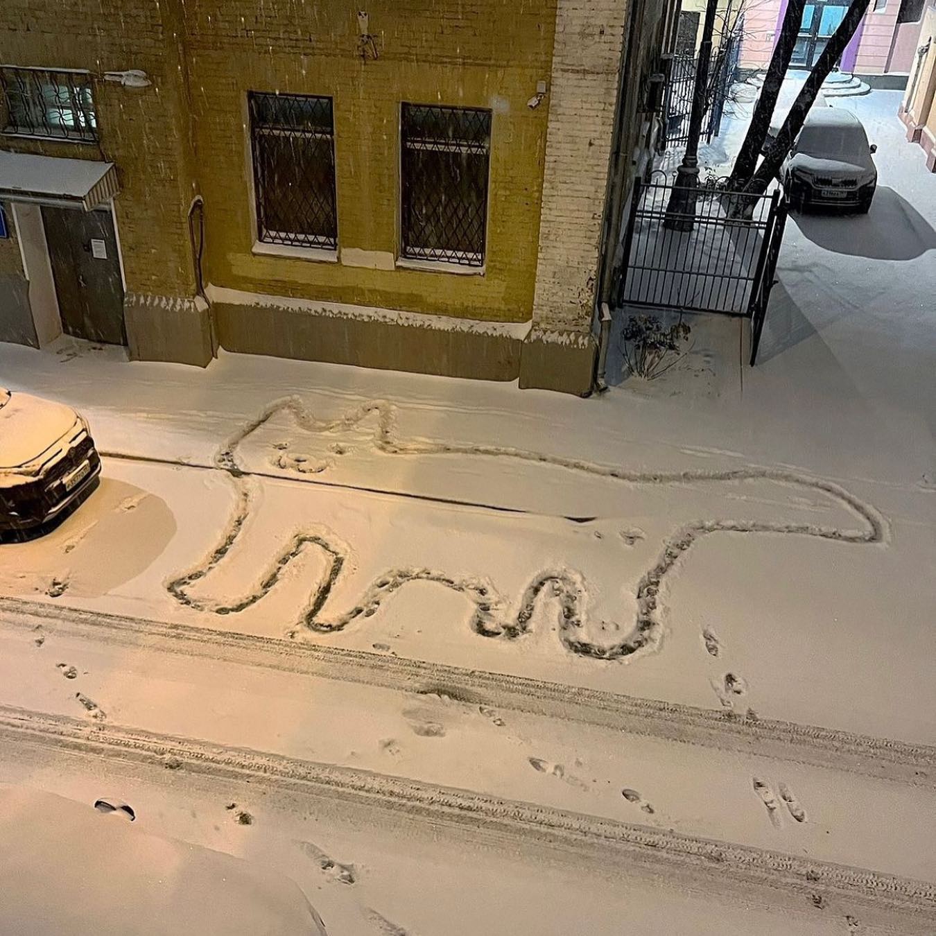 #11월
즐겁고, 맛있고, 반가웠던 11월
요약도 못한 채 12월 입성 ⛄️❄️