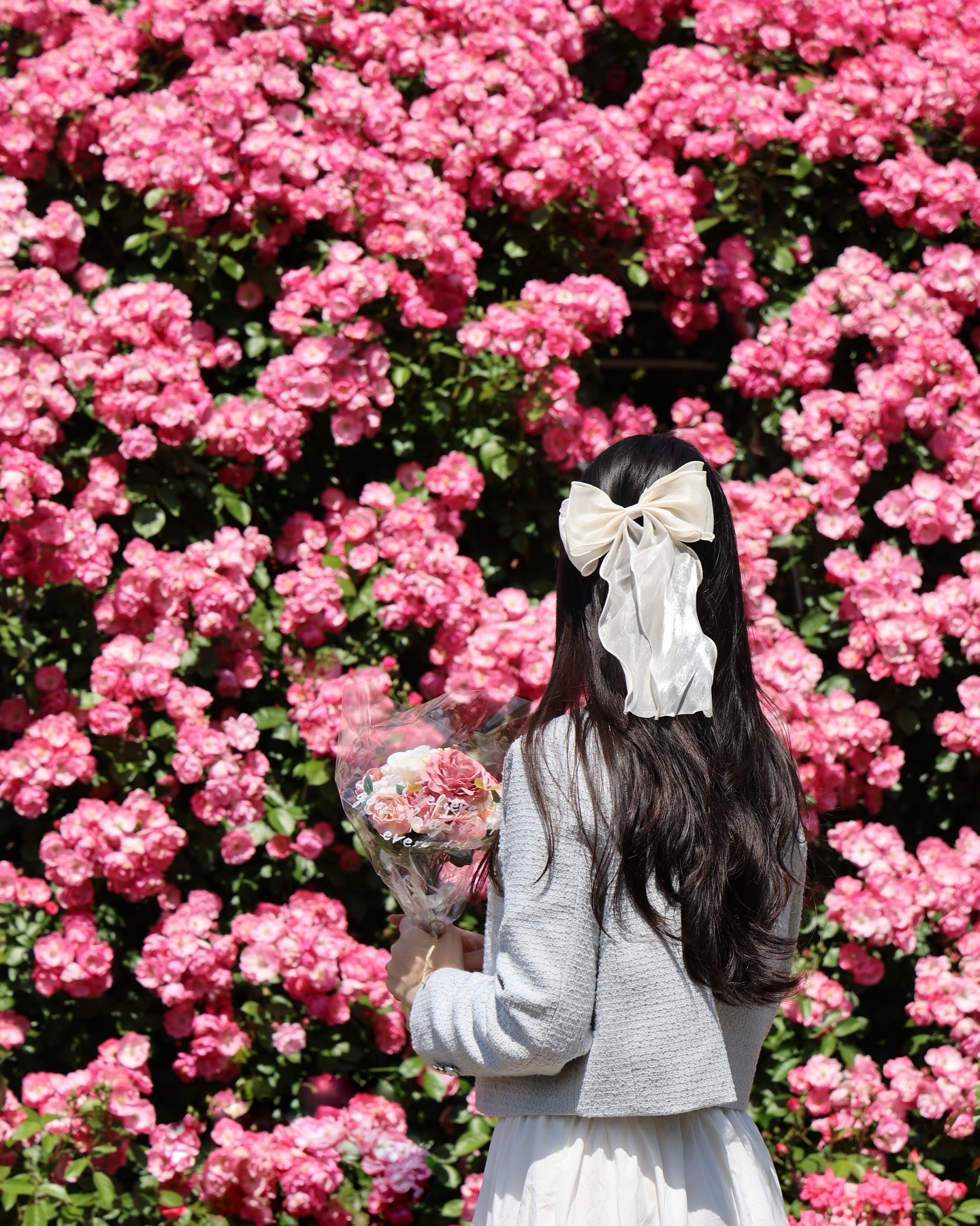 오랜만입니다 🌹
.
.
.
📍 장소 : 조선대학교 장미원
🎀 촬영 소품 : 리본 - 프로필링크 “물결 리본핀“ , 꽃 - 작가소장
📸 작가 : a_half_hj 

#장미축제 #조대장미축제 #조대 #조선대 #광주 #장미 #광주가볼만한곳 #광주핫플 #출사 #일반인모델 #스냅사진
