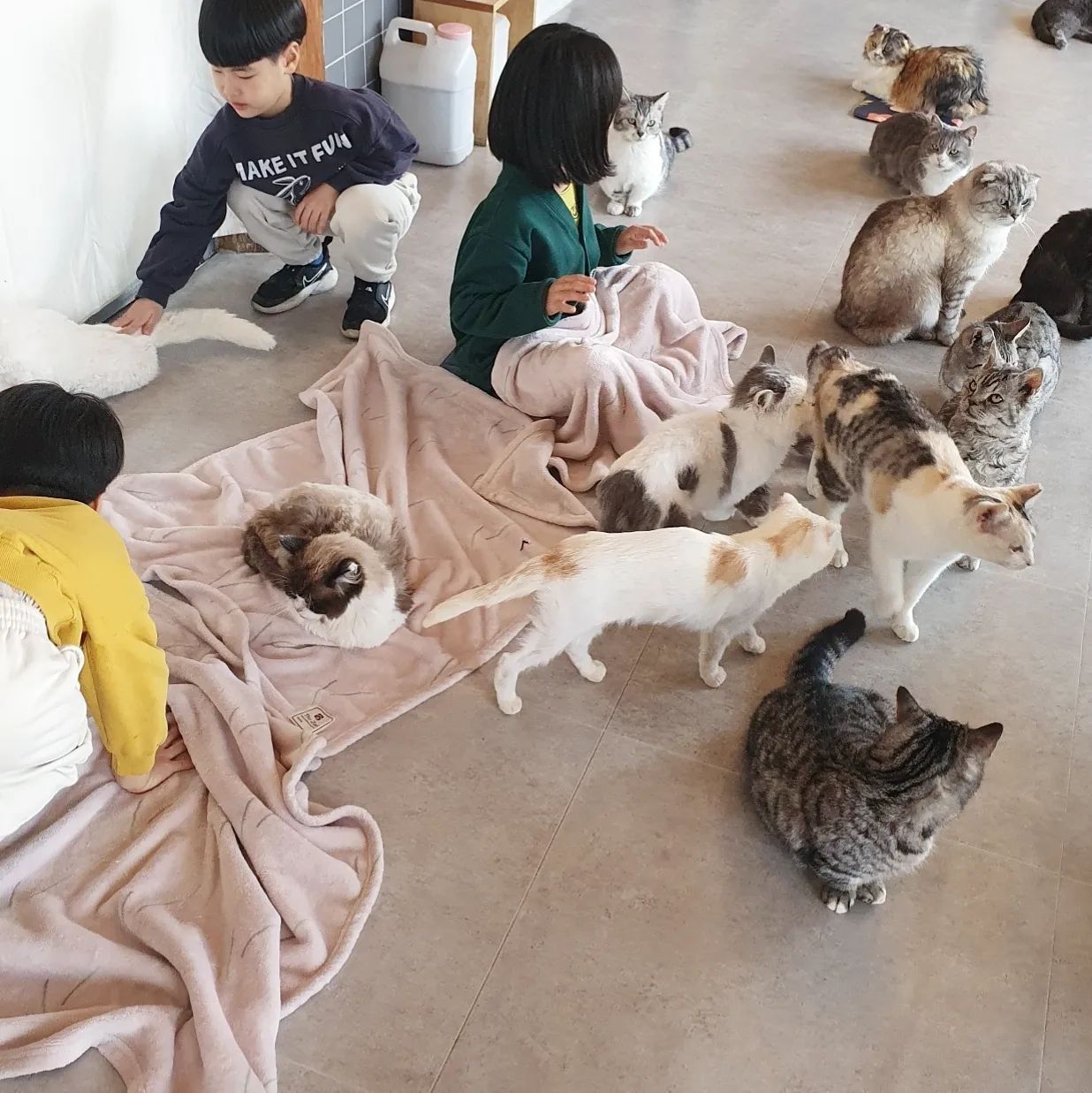 얼마 전
아이들과 재미있게 본 애니메이션
'고양이의 보은' 속으로 쑥-
들어갔다 나온 것 같았던 하루.

요 며칠 고양이,강아지,병아리 키우고 싶다
돌아가며 노래부르던 👧🏻🧒🏻🧒🏻들
소원성취!
.
.
.
#주말나들이#고양이카페