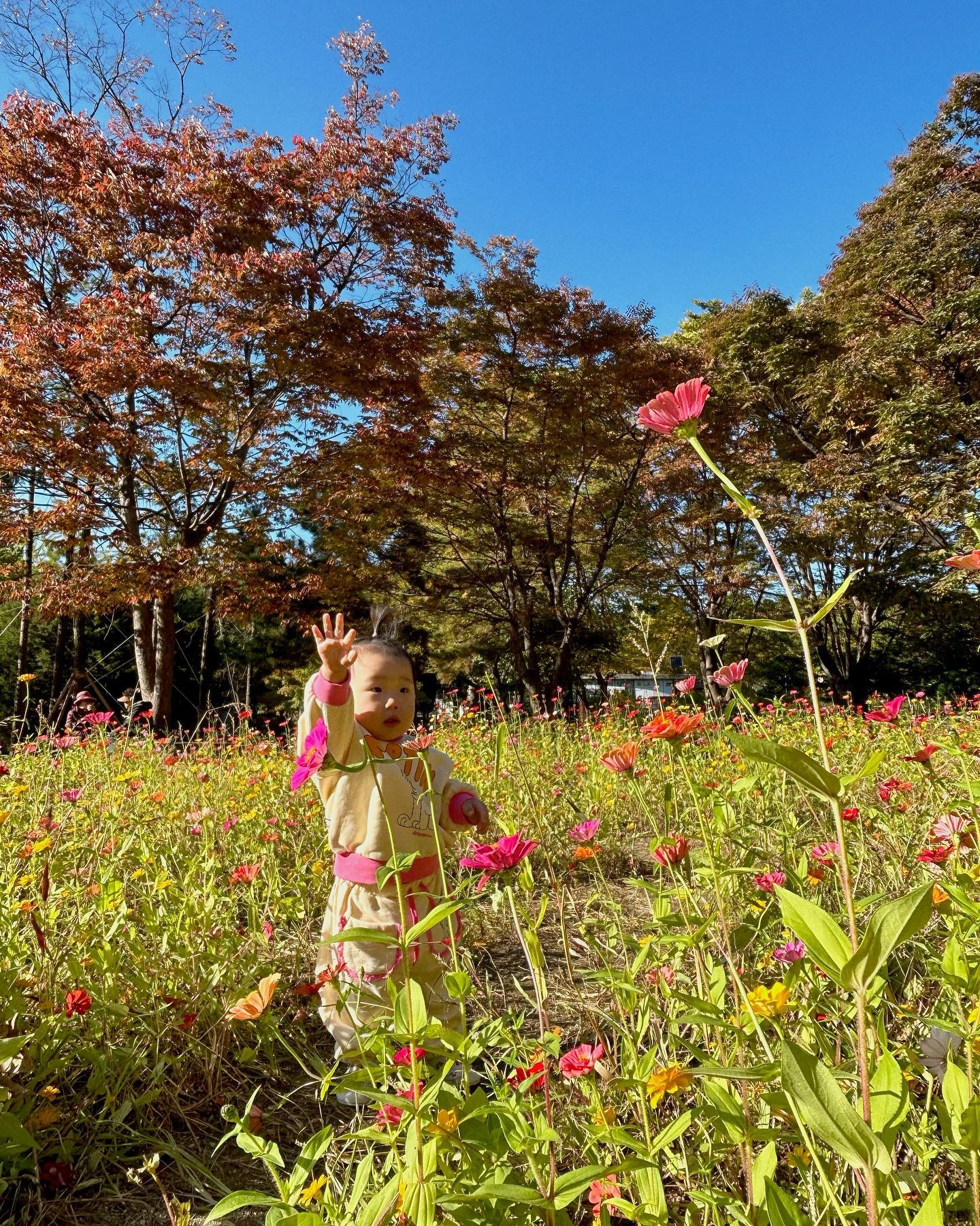 라희의 두번째 가을 잘가~~~~~~🍂🍁🌰🤎
.
.
.
#231020
#라희는428일
#14개월1일_61주차
#서울어린이대공원 
#예방접종💉한날 
#도쭈네🤎