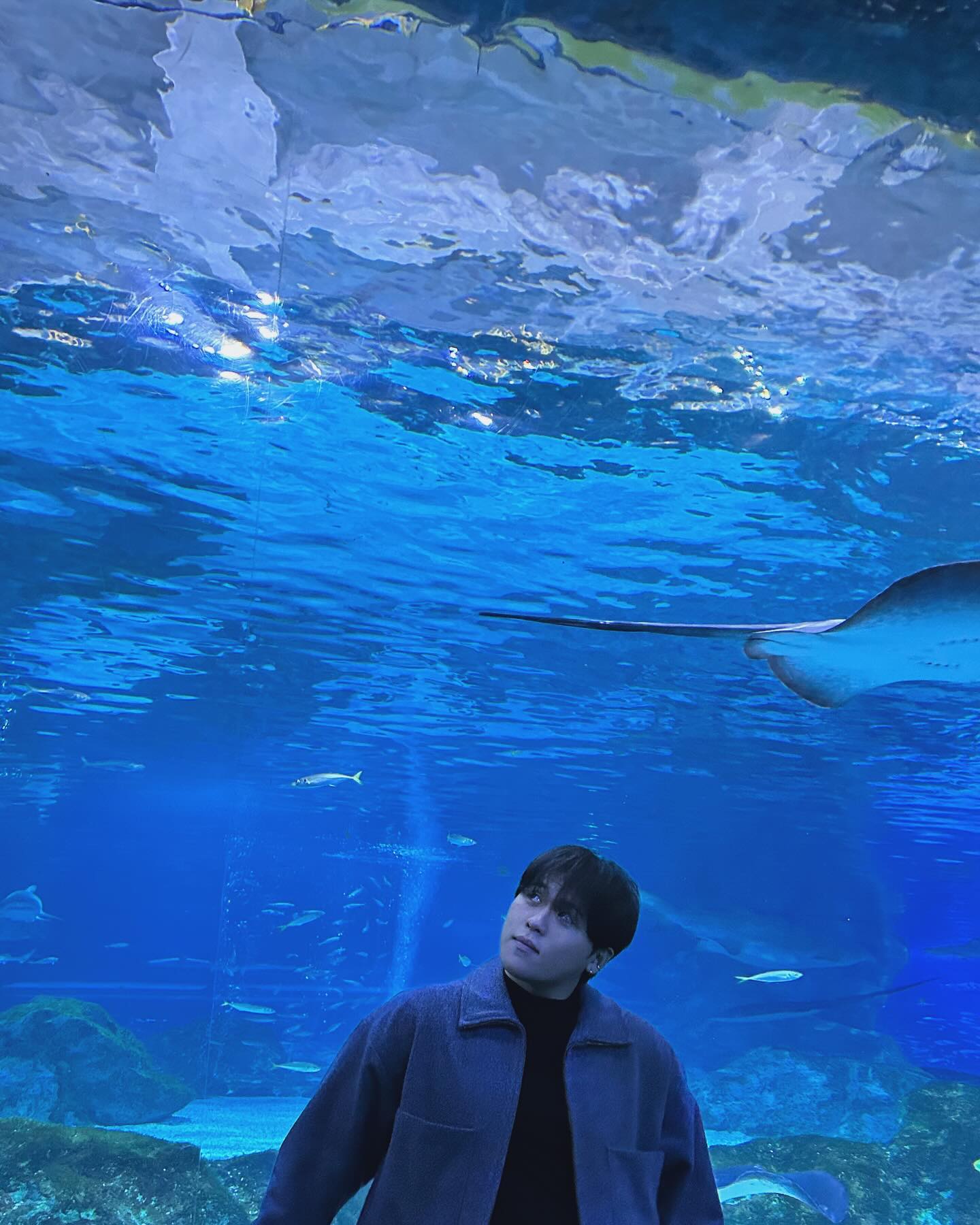 🐬