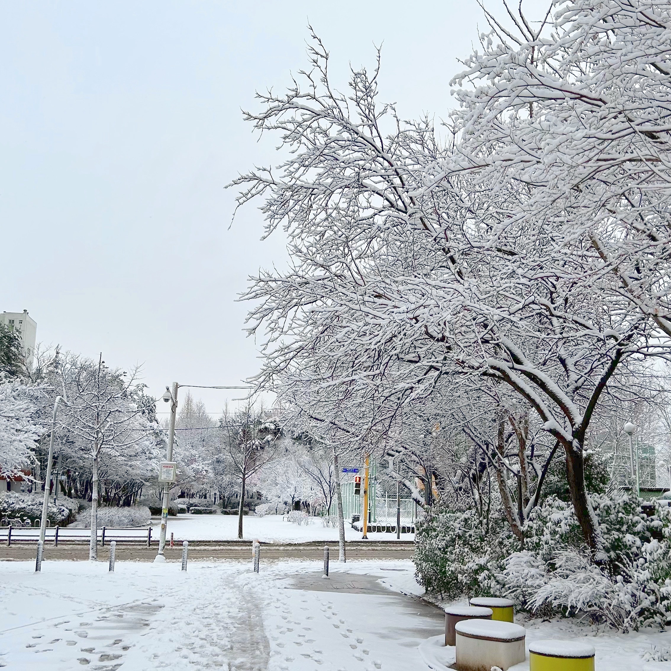 🌨️☃️
⠀⠀⠀⠀⠀⠀⠀⠀⠀⠀⠀⠀⠀⠀⠀⠀
⠀⠀⠀⠀⠀⠀⠀⠀⠀⠀⠀⠀⠀⠀⠀⠀
자고일어났더니
이게무슨일인가여...👀
질퍽질퍽...
엄마는늦어서뛰고,
애는신나서뛰고😂🤣
⠀⠀⠀⠀⠀⠀⠀⠀⠀⠀⠀⠀⠀⠀⠀⠀
⠀⠀⠀⠀⠀⠀⠀⠀⠀⠀⠀⠀⠀⠀⠀⠀
⠀⠀⠀⠀⠀⠀⠀⠀⠀⠀⠀⠀⠀⠀⠀⠀