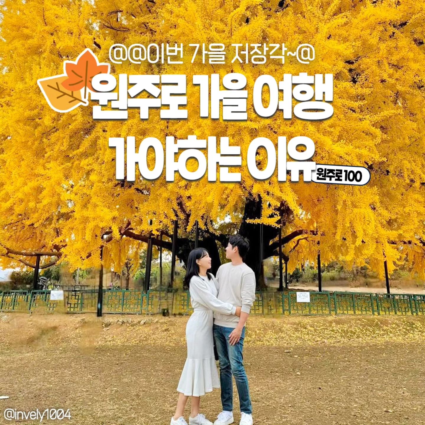 #지자체지원 #원주

원주로 가을여행 가야 하는 이유 알려줌+_+🍂
++축제도 한가득이라구!!(☆▽☆)
@이번 가을, 저장 각~ with『원주로100』@@

1. #중앙시장 #미로시장
이국 음식부터, 레트로 간식까지 즐길거리 다양한 곳🧡

2. #소금산그랜드밸리 #피톤치드글램핑장
절벽에 위치하여, 산으로 둘러싸여 있는 듯한 느낌의 글램핑장!🌌

3. #반계리은행나무
1000년 가까이 된 웅장한 은행나무 인생샷은 이곳!🏵️

4. #치악산
부곡탐방지원센터 > 비로봉까지 4.5km걸리는 등산 필수코스!🗺️

5. #흥원창
일몰을 보면서 자전거&산책이 가능한 힐링 명소!🚲

6. #원주만두축제 #만두축제🚩
-일시 : 24. 10. 25.(금)~27.(일)
-장소 : 중앙동 전통시장 및 문화의 거리 일원

7. #용수골가을꽃축제🚩
-일시 : 24. 9. 14.(토)~10. 6.(일) 
-장소 : 원주용수골꽃양귀비축제장 일대

8. #한지문화제🚩
-일시 : 24. 9. 20.(금)~29.(일) 강원감영
-일시 : 24. 9. 26.(목)~29.(일) 한지테마파크

9. #댄싱카니발
-일시 : 24. 10. 4.(금)~6.(일)
-장소 : 원주 댄싱공연장
.
.
#국내여행 #원주여행
#대한민국구석구석 #원주여행지
#원주가을꽃#원주여행추천#원주핫플
#원주여행지 #원주관광명소 #원주가볼만한곳
#원주축제 #원주댄싱카니발#원주한지문화제 
#강원도 #국내여행지
