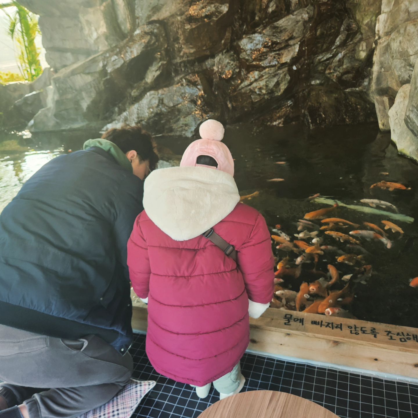 캠핑가기전 들린 체험카페
동물을 좋아하는 아이에겐 제격!! 잉어뿐아니라 내가 키우고 싶었던 우파루파까지..!!! 
#리프플레이스 #파충류카페 #용인카페 #체험카페 #물고기카페 #아이와가볼만한곳 #용인가볼만한곳 #원삼카페
#일상 #육아