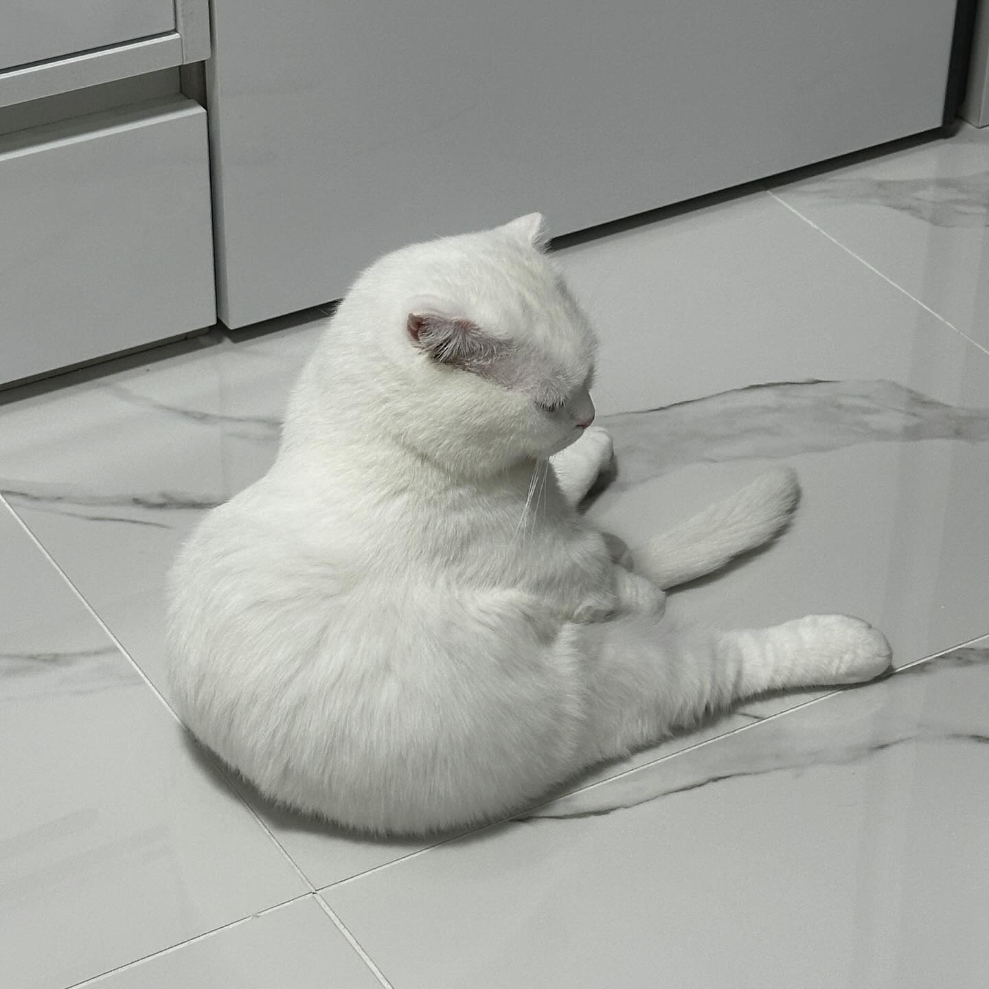 콘텐츠