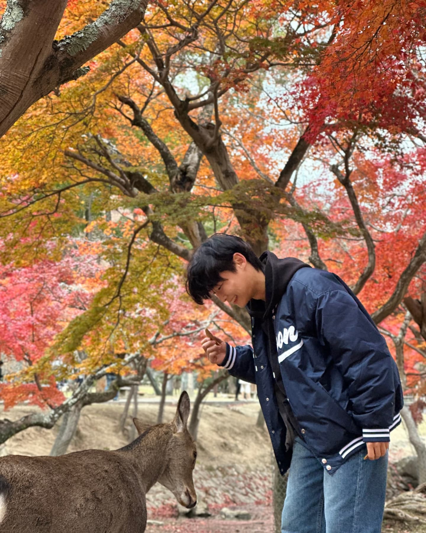 [ 또사카 여행기록.1]
나라🦌 & 도톤보리🏃‍♂️
- 사슴 공원
- 글리코상
사슴이 꽤나 귀여웠데스 ~

#일본 #일본여행 #오사카 #나라 #사슴공원 #도톤보리 #글리코상 #사슴 #단풍 #여행 #여행스타그램 #힐링