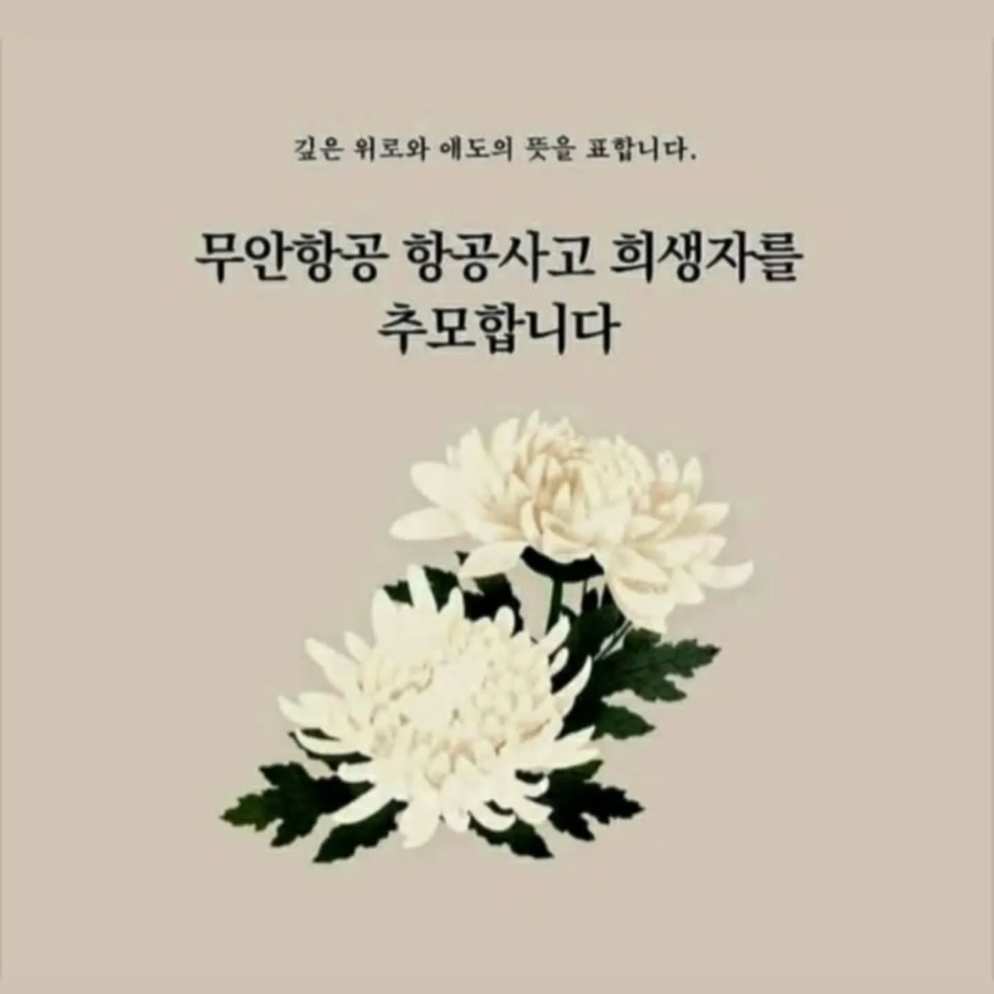 #첫줄

진짜 얼마나 무섭고 두려웠을까ㅠㅠ
유가족들 마음은 어떨까ㅠㅠ
먹먹하고 가슴이 더 아픈건 우리딸과 같은 21년생 아이도 있었다니 기사중에 자신의 지인과 그 아이가 함께 한날한시에ㅠㅠ
그리고 9명의 친척포함한 가족이 팔순잔치로 나란히 ㅠㅠ
공무원들도 있었고 초등, 고등, 대학생들까지ㅠㅠ
작년 1월에 하은이 돌기념으로 간 제주도에서 부산올때 탔던 제주항공이었는데ㅠㅠ
비행기 사고 제발 없었으면 좋겠다 내 새끼가 언젠가는 탈수도 있는 항공기일수도 있는데 정비제대로 체크하고 운행되길ㅠㅠ