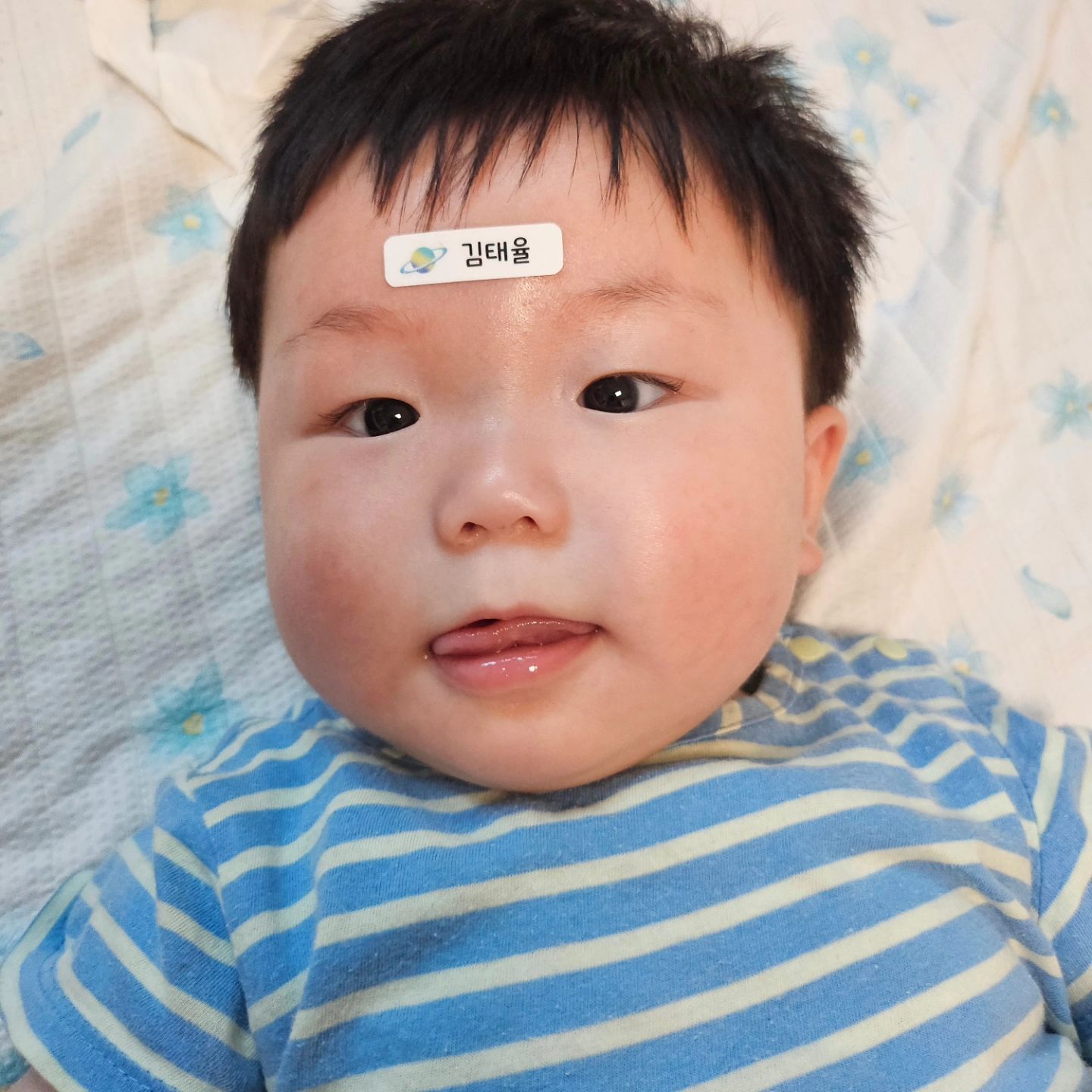 콘텐츠