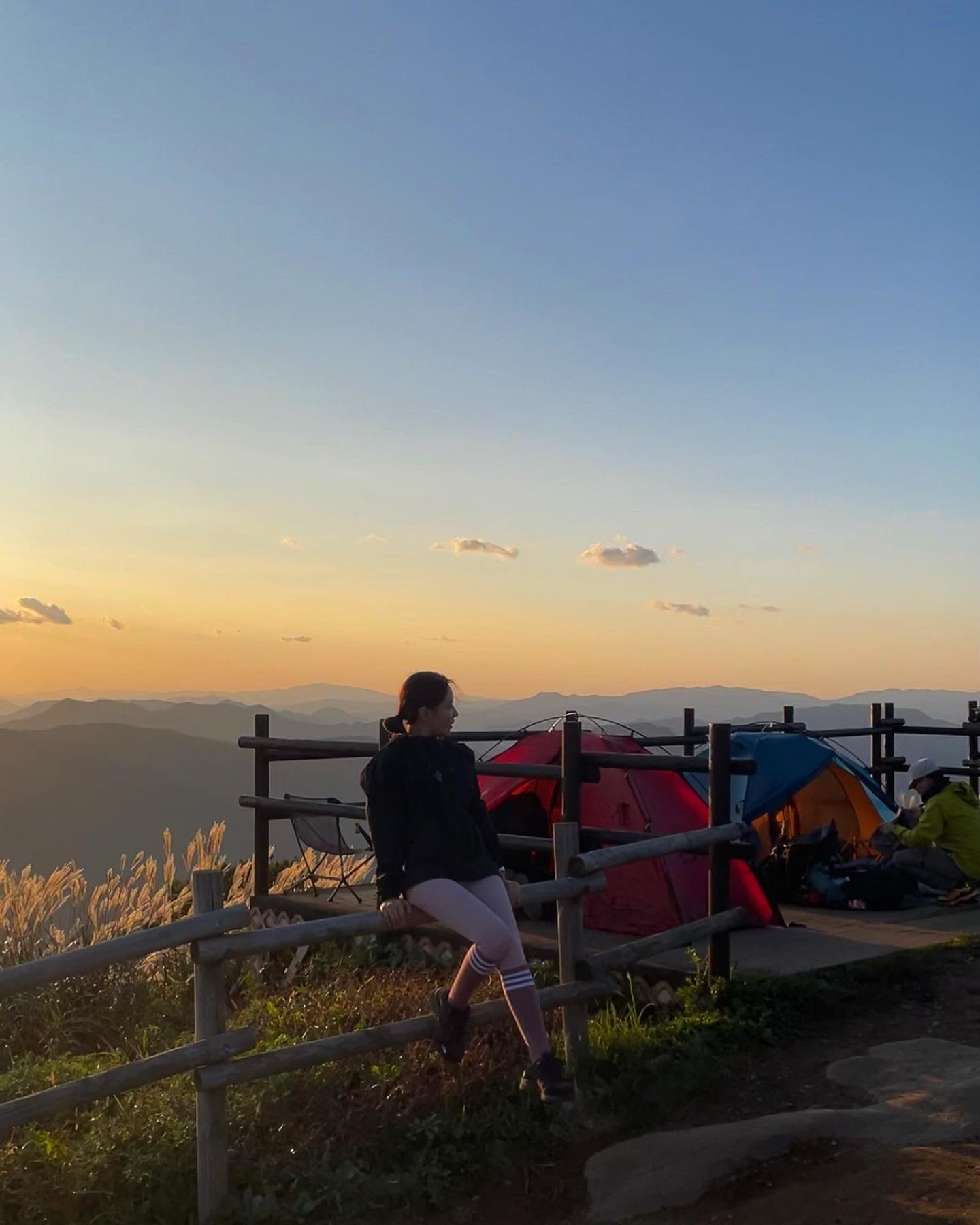 우리는 계속 힘들다 하는데 밤이는 전혀 어렵지 않게 이 산을 처음부터 끝까지 올라갔다😅 뛰어가기도 하고.... 다들 지나가시면서 “ 아이고야 , 쪼그만게 잘 올라가네“ 이 말을 몇번을 들었는지 
이제 날도 선선하니 누나가 등산 자주 가도록 해볼게 ㅋㅋㅋ ㅠㅠ