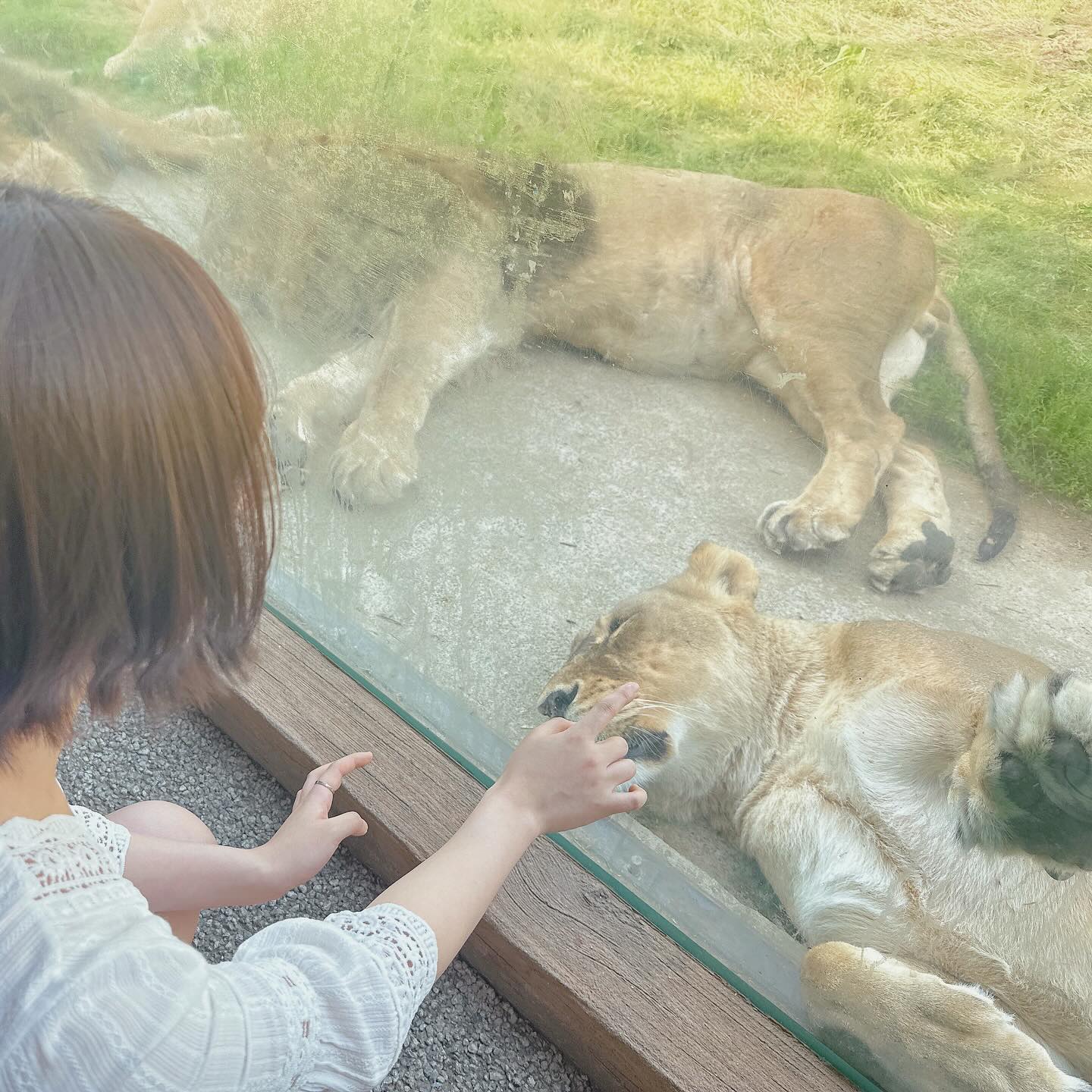 갑자기 생긴 시간으로 행복한 시간 만들기🌻+오랜만에 단발🙂‍↕️