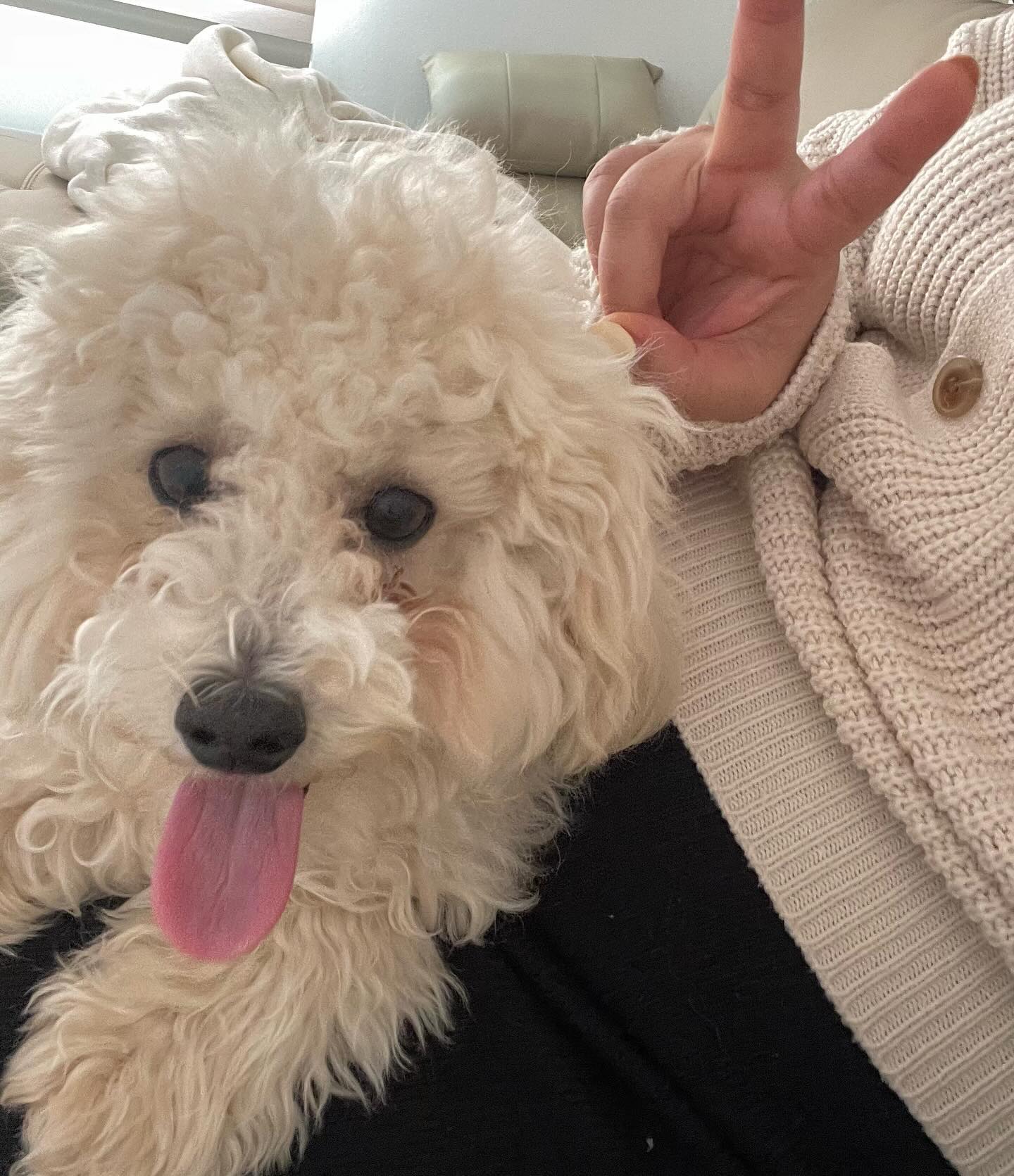 우리 바다 많이 컸네 ,, 🐶 서귀포 새댁 집들이 💕✨✨✨ #광래없는광래네집 🏠